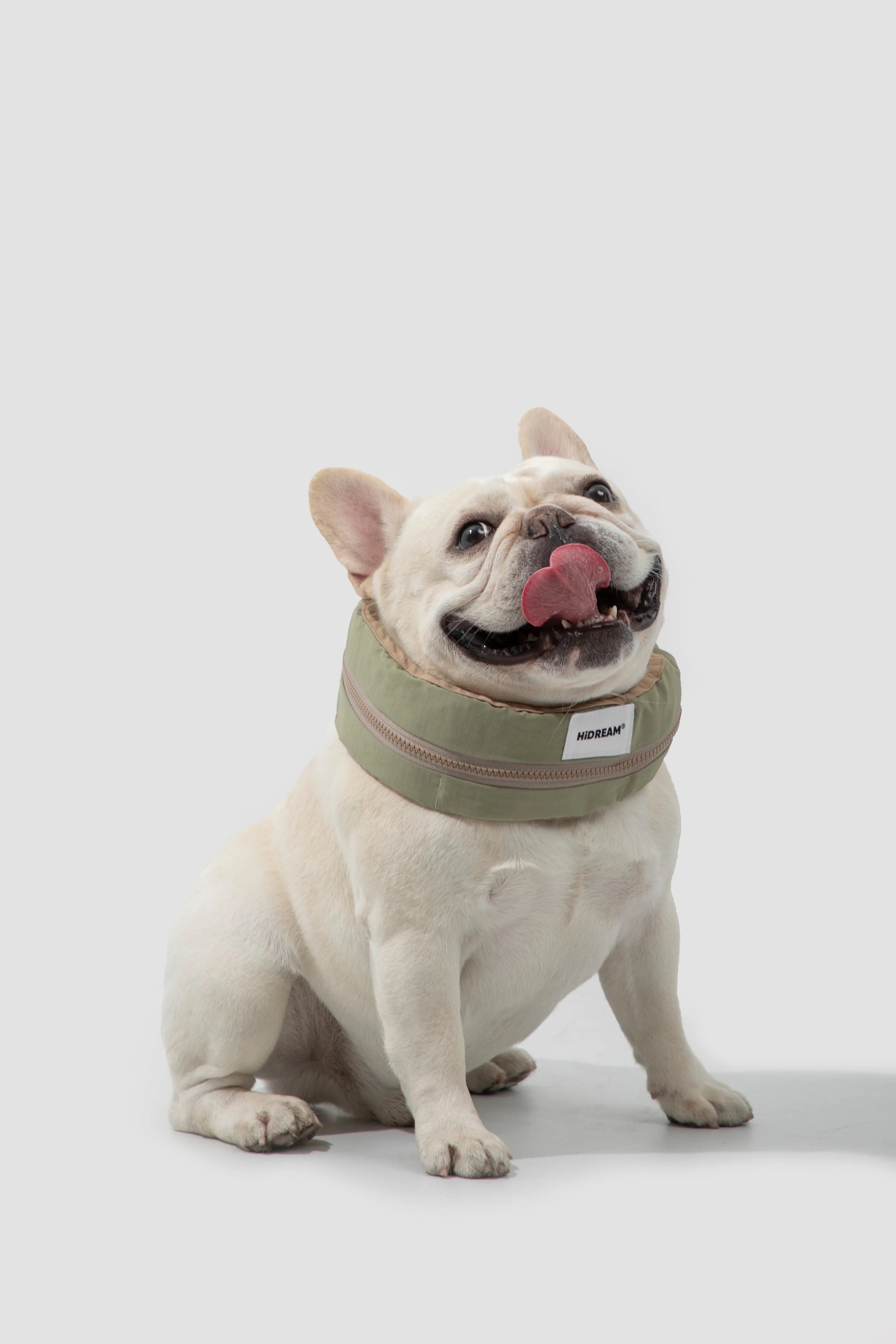 Pet Care