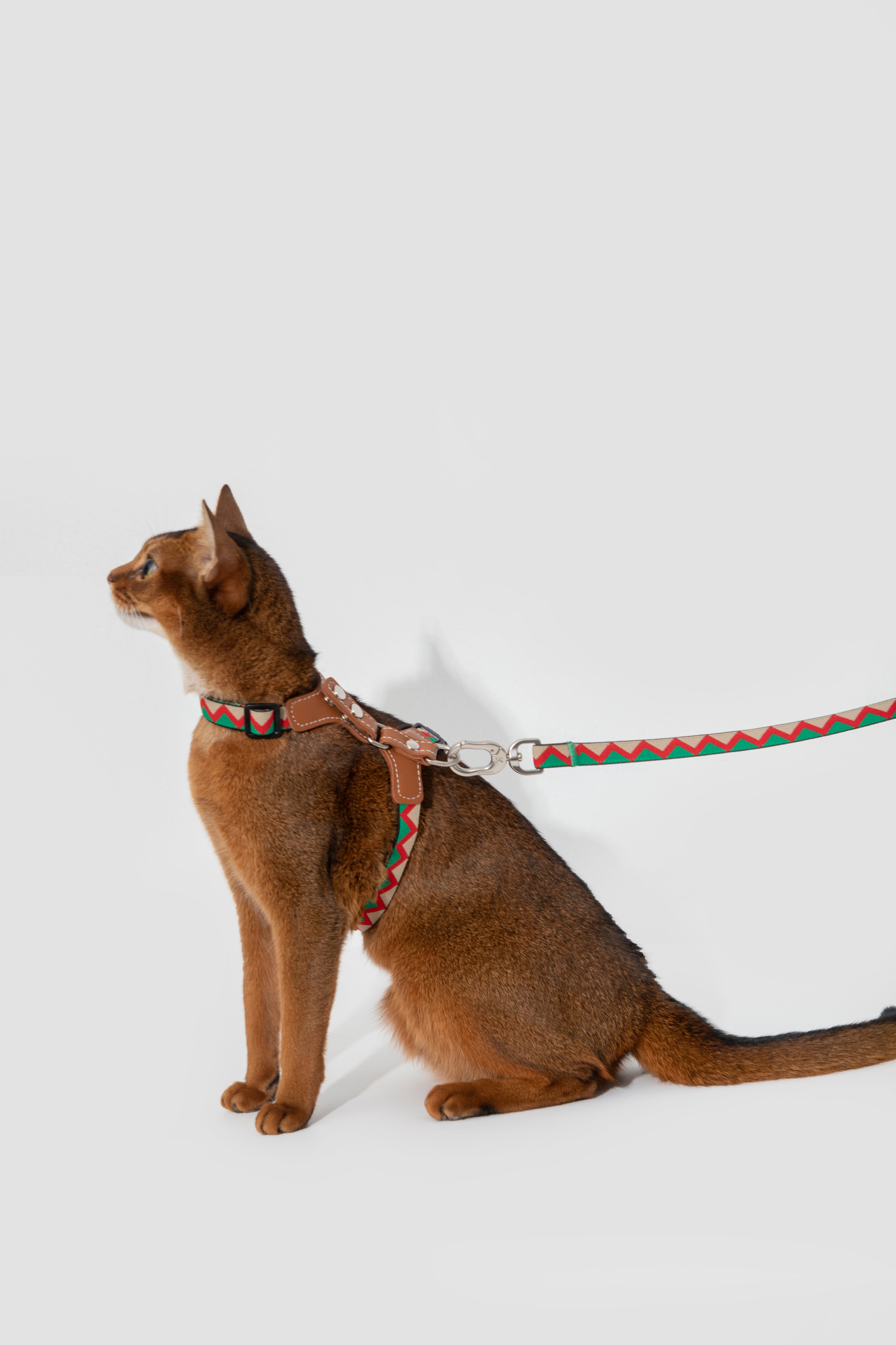 Bobo Series - Reflective Leather Patchwork Cat Vest Set - HiDREAM Australia