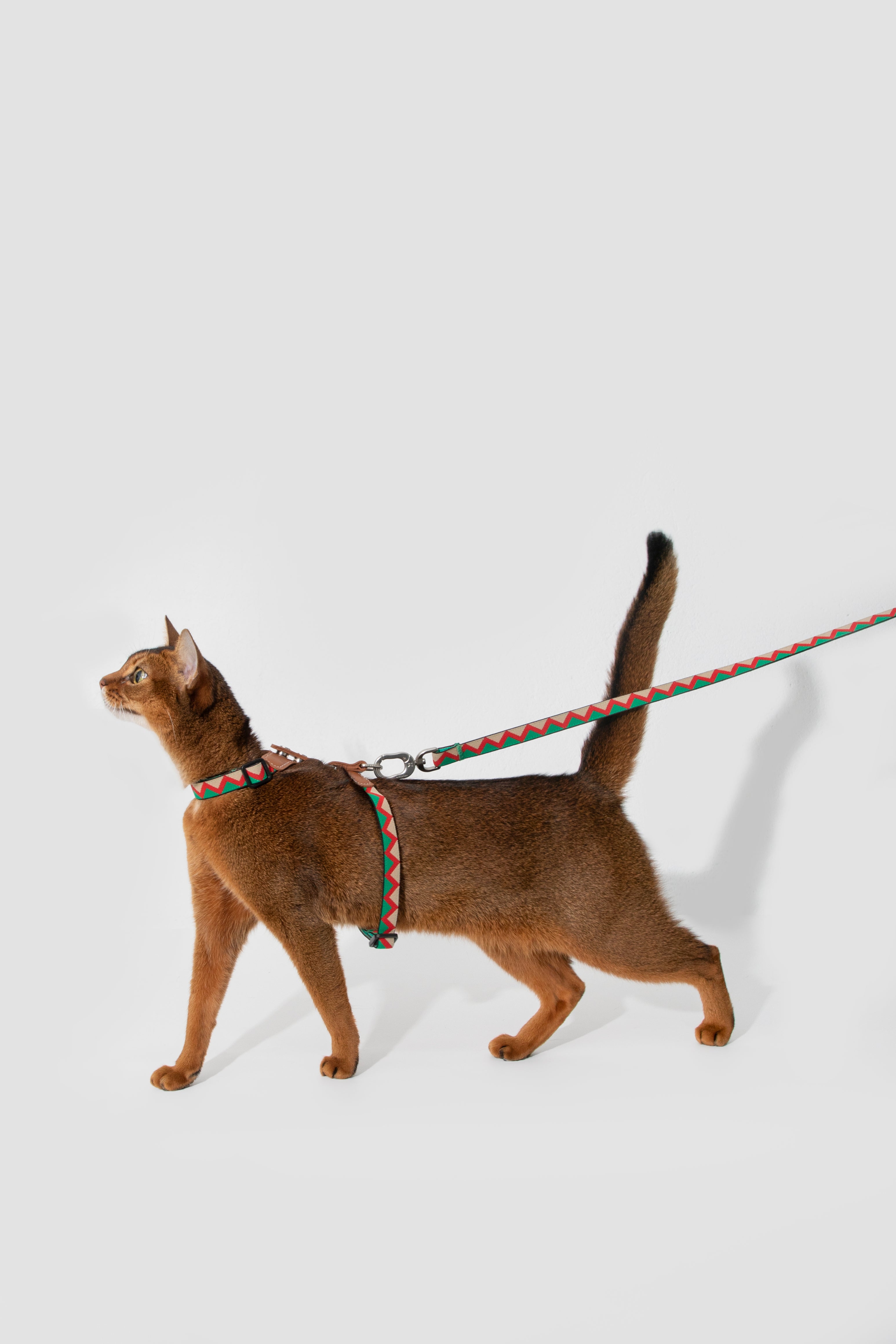 Bobo Series - Reflective Leather Patchwork Cat Vest Set - HiDREAM Australia