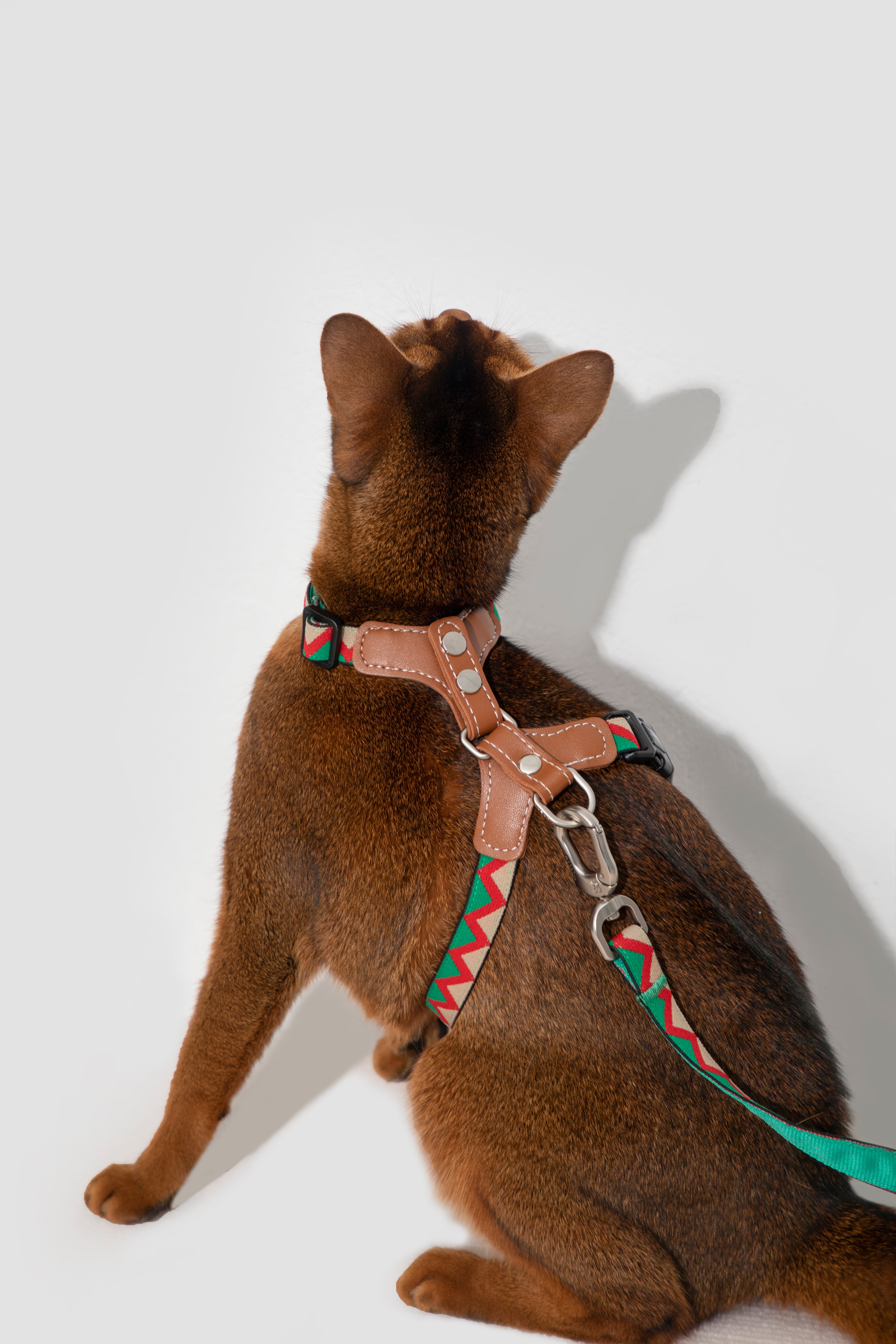 Bobo Series - Reflective Leather Patchwork Cat Vest Set - HiDREAM Australia