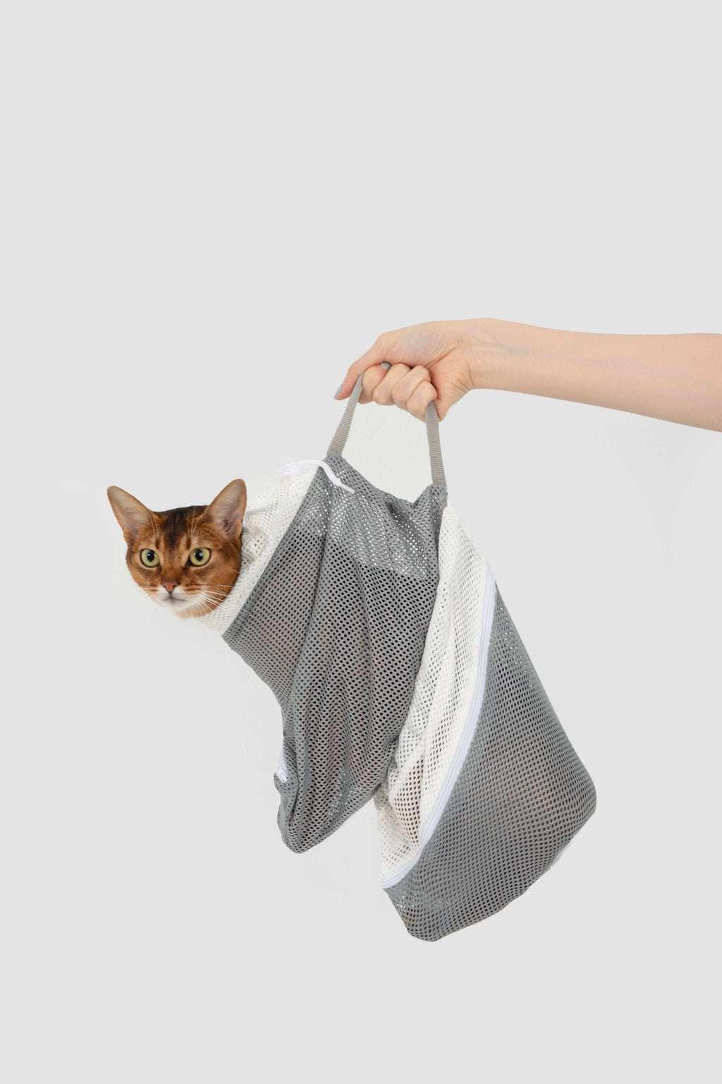 HiDREAM Cat Bathing Bag held by handle with cat inside, showing portable and secure design for Aussie pet care.