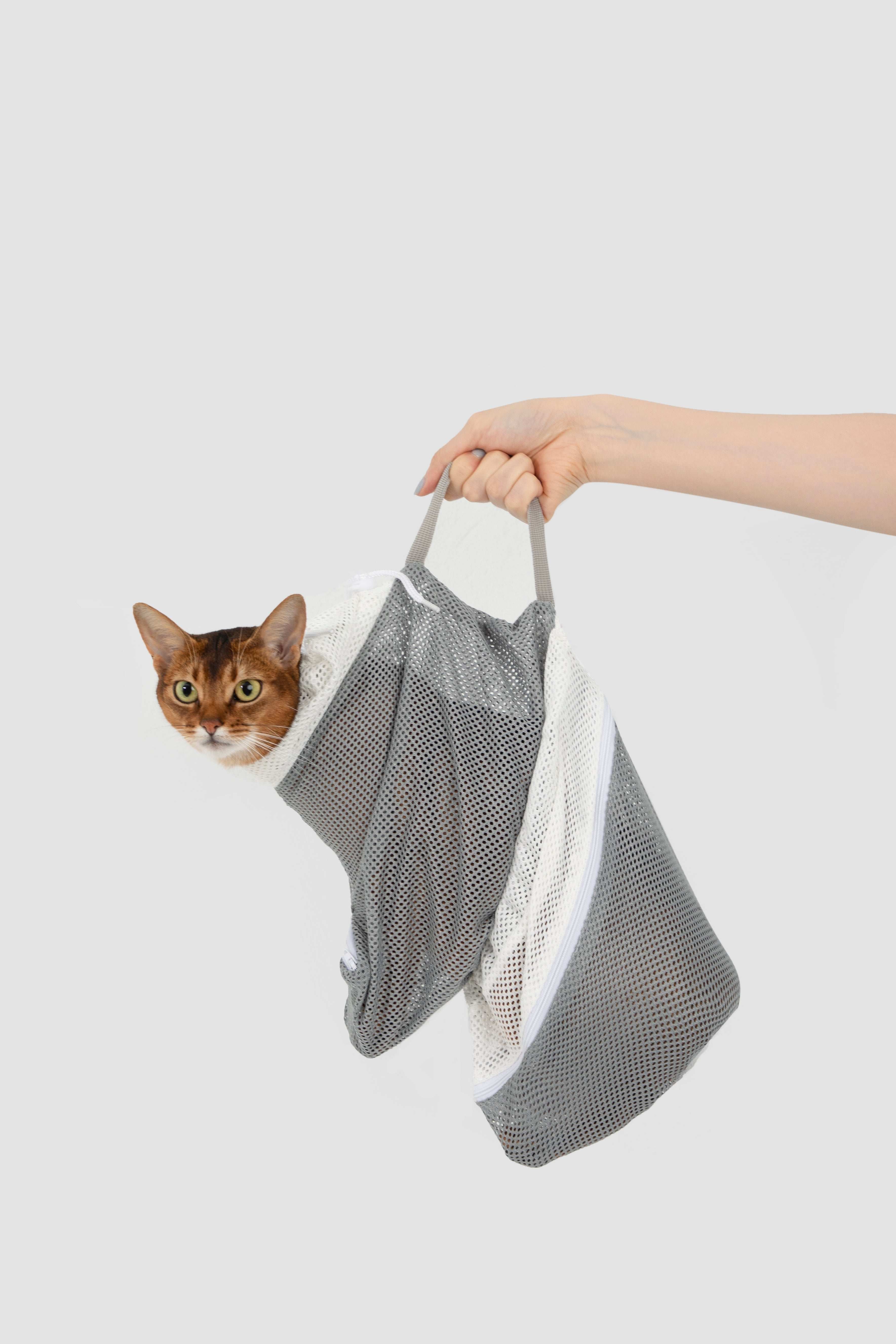 HiDREAM Cat Bathing Bag held by handle with cat inside, showing portable and secure design for Aussie pet care.