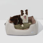 HiDREAM Four-Season Pet Bed featuring a brown and white dog resting on a green cushion. Comfortable, anti-slip base for pets in Australia.