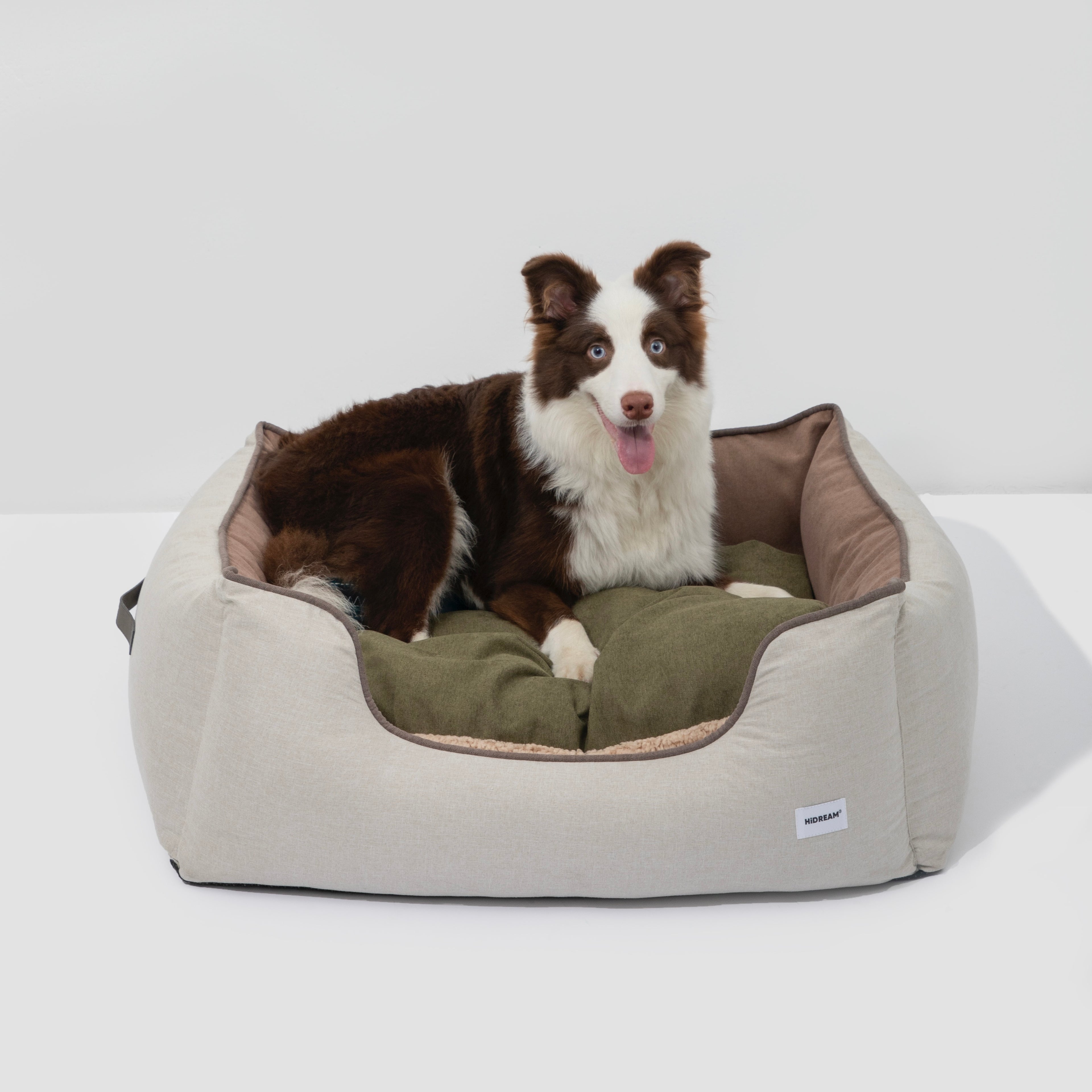 HiDREAM Four-Season Pet Bed featuring a brown and white dog resting on a green cushion. Comfortable, anti-slip base for pets in Australia.
