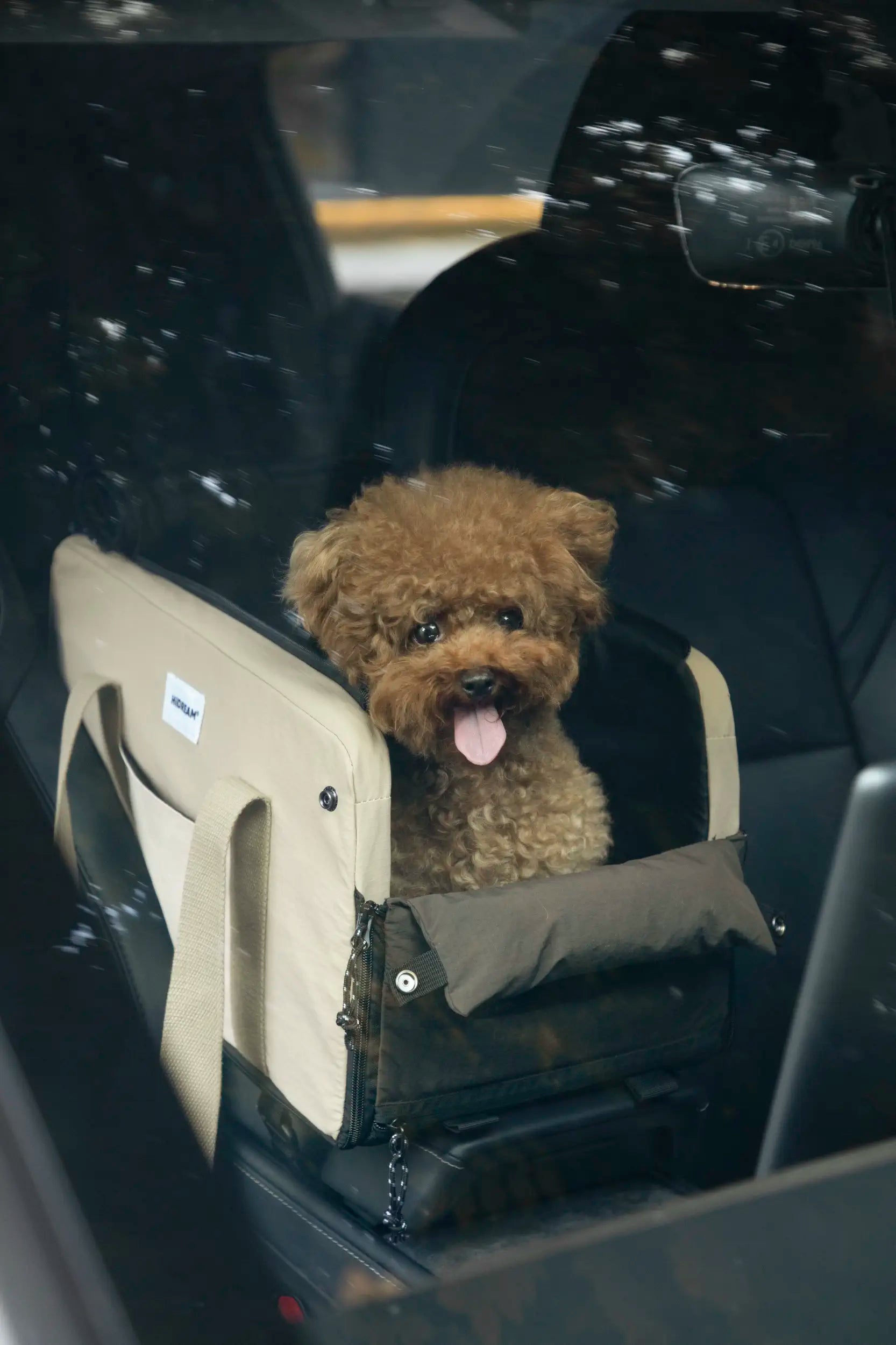 Open-Top Console Pet Carrier – Car Booster Seat & Tote