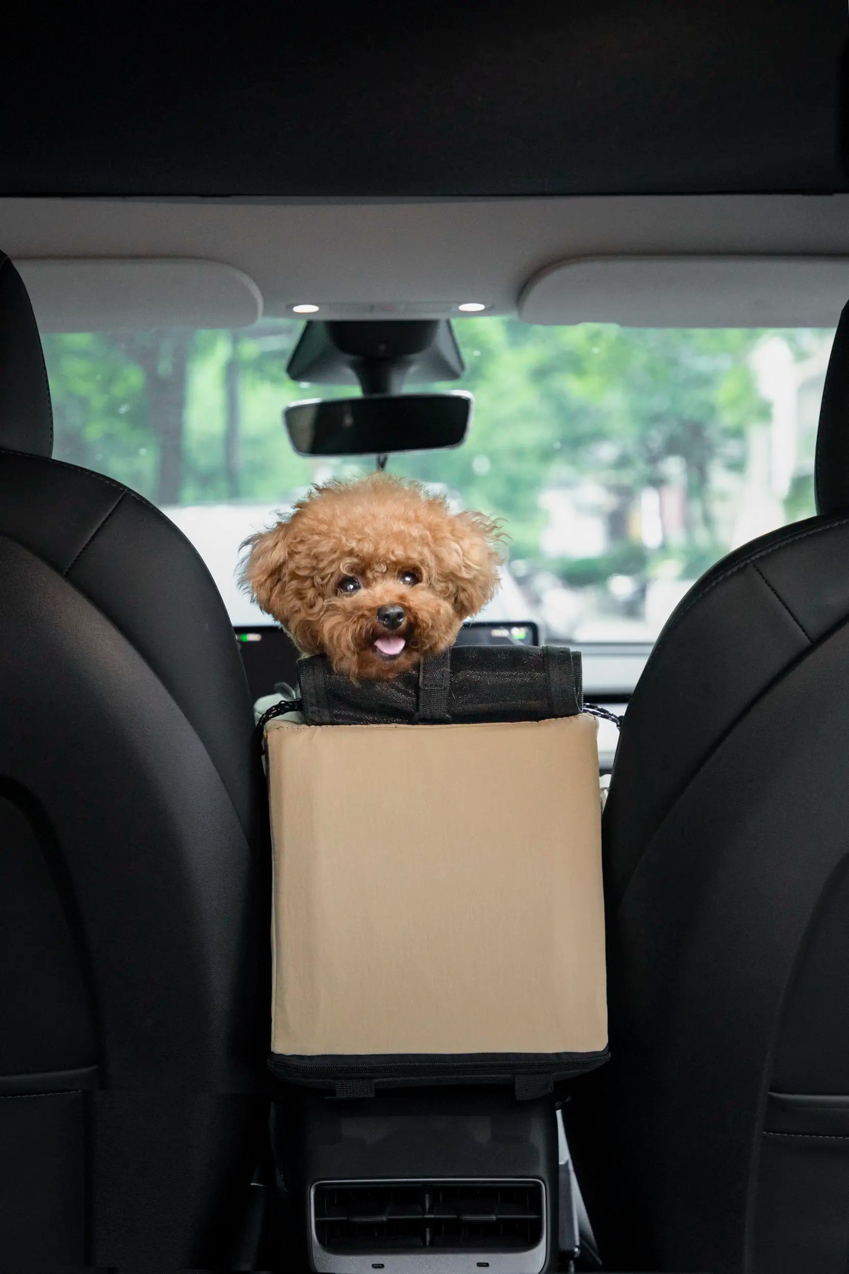 Open-Top Console Pet Carrier – Car Booster Seat & Tote