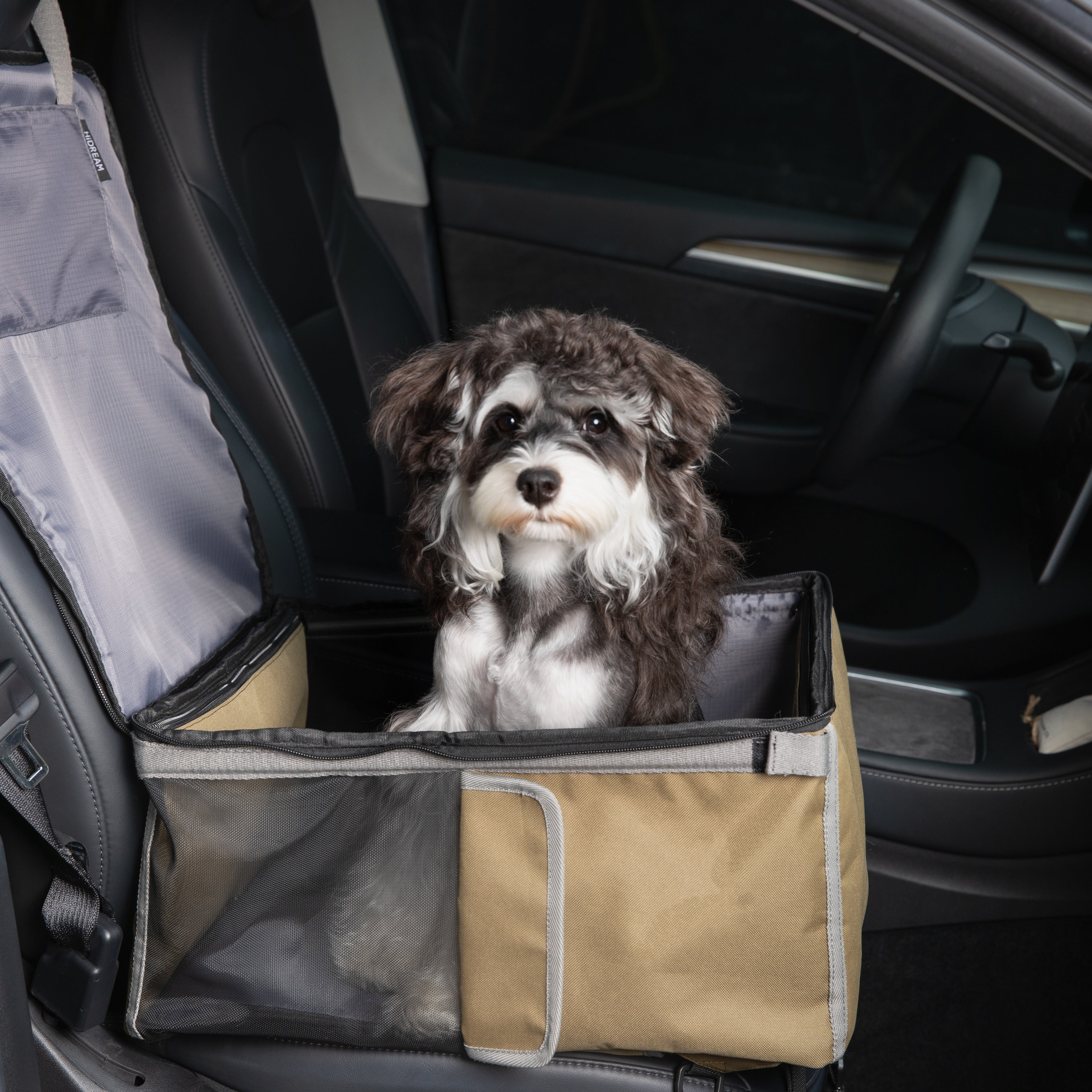 Small dog seated inside HiDREAM Pet Car Seat Backpack – Dual Use Carrier installed in a car seat, showcasing its secure and breathable design.