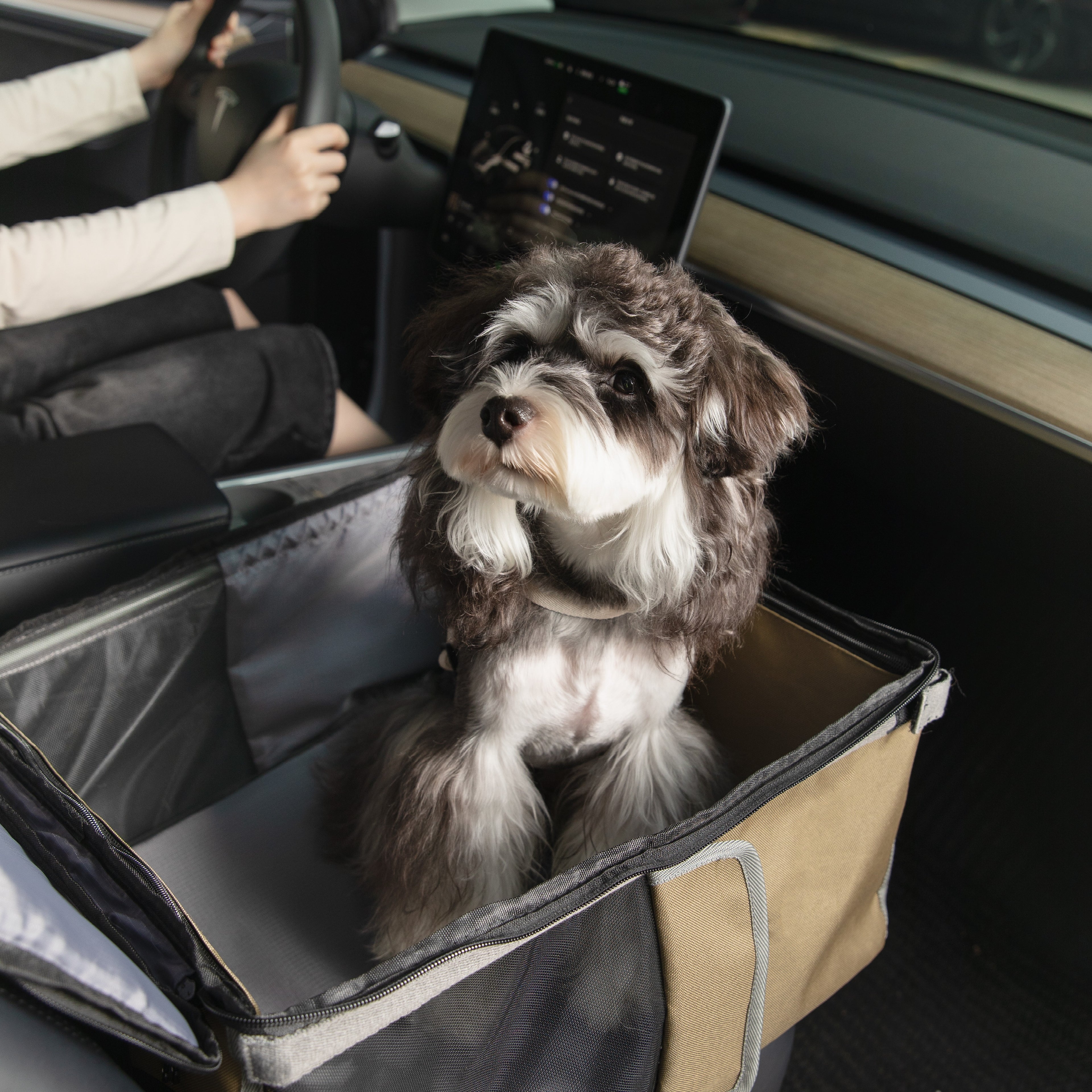 HiDREAM Pet Car Seat Backpack – Dual Use Carrier in use during a car ride, with a small dog comfortably seated inside the tan and black crate.