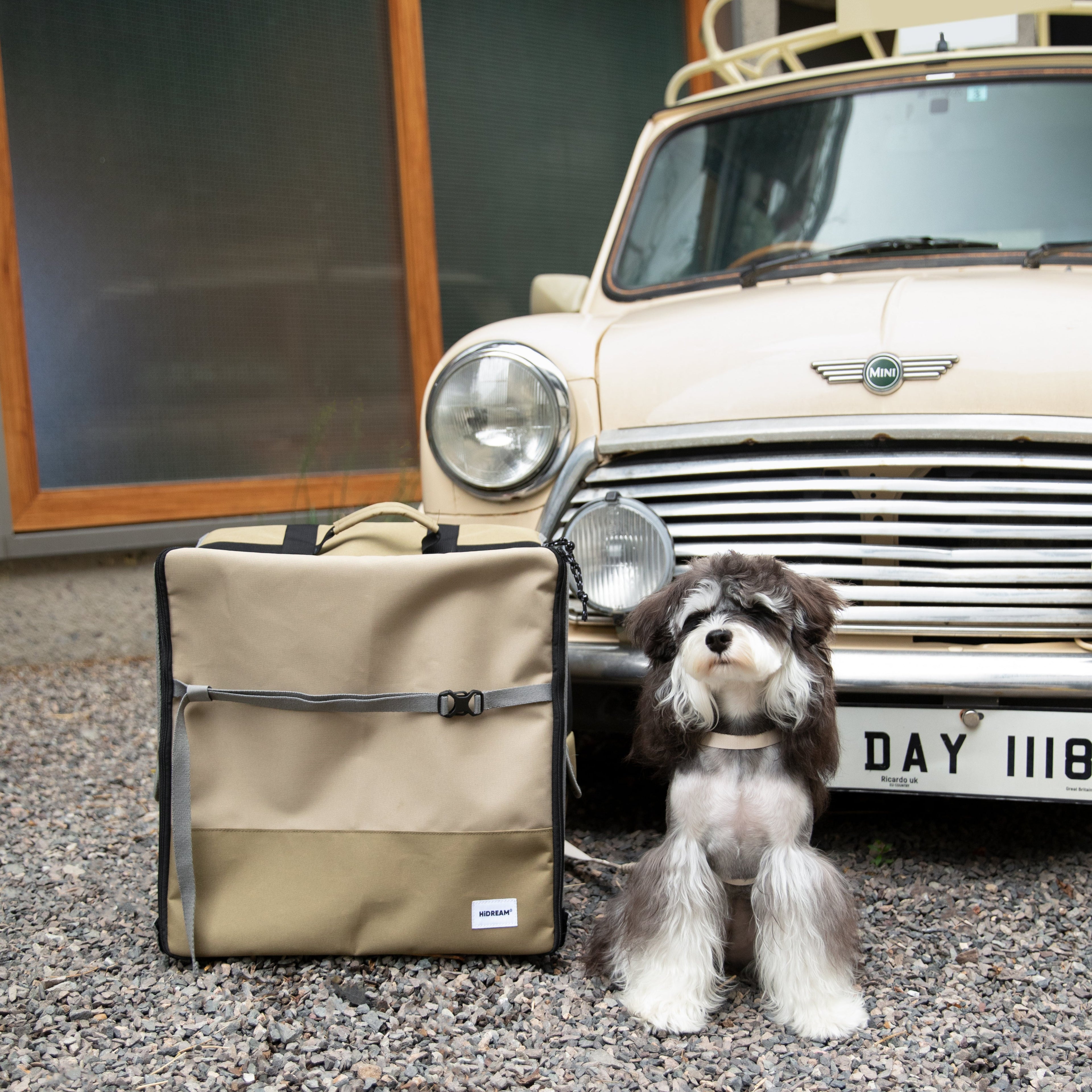 HiDREAM Pet Car Seat Backpack – Dual Use Carrier placed beside a small dog outdoors, highlighting its portability and stylish design.