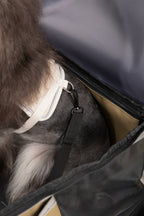 Interior view of HiDREAM Pet Car Seat Backpack – Dual Use Carrier with safety clip attached to a small dog’s harness for secure travel.