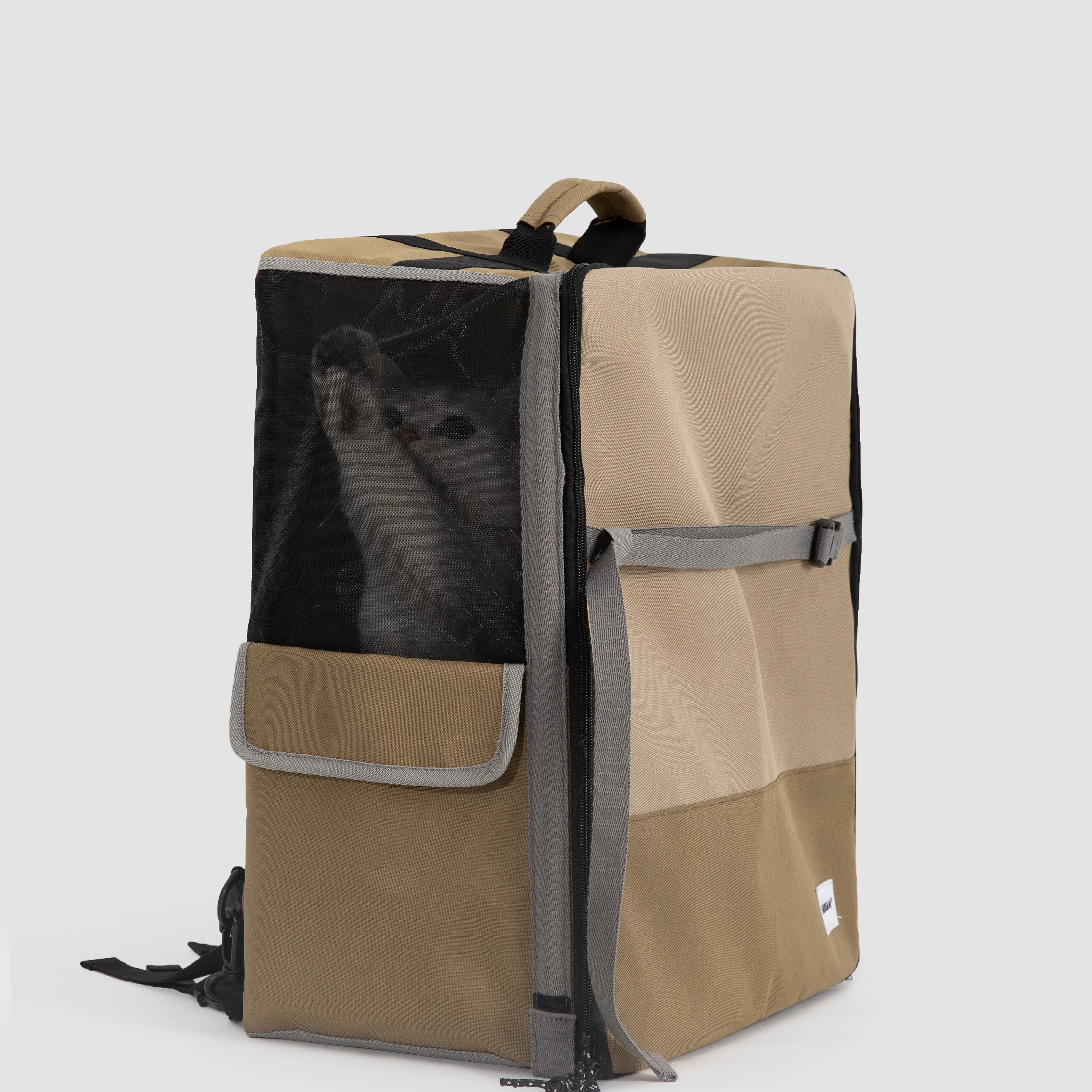 Cat peeking through the mesh window of HiDREAM Pet Car Seat Backpack – Dual Use Carrier, demonstrating its breathable and secure pet space.