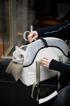 Pet Carrier Shoulder Bag – Removable Mesh Top for Cats & Small Dogs