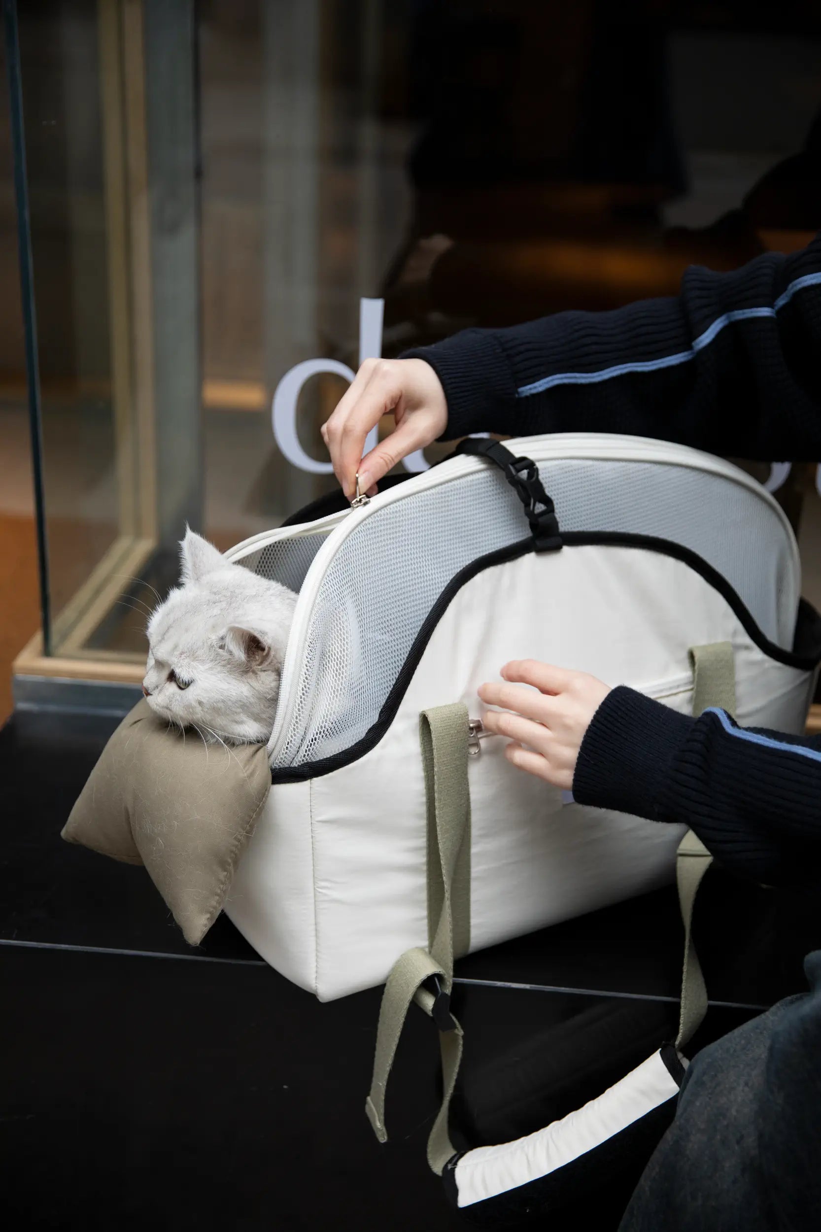 Pet Carrier Shoulder Bag – Removable Mesh Top for Cats & Small Dogs