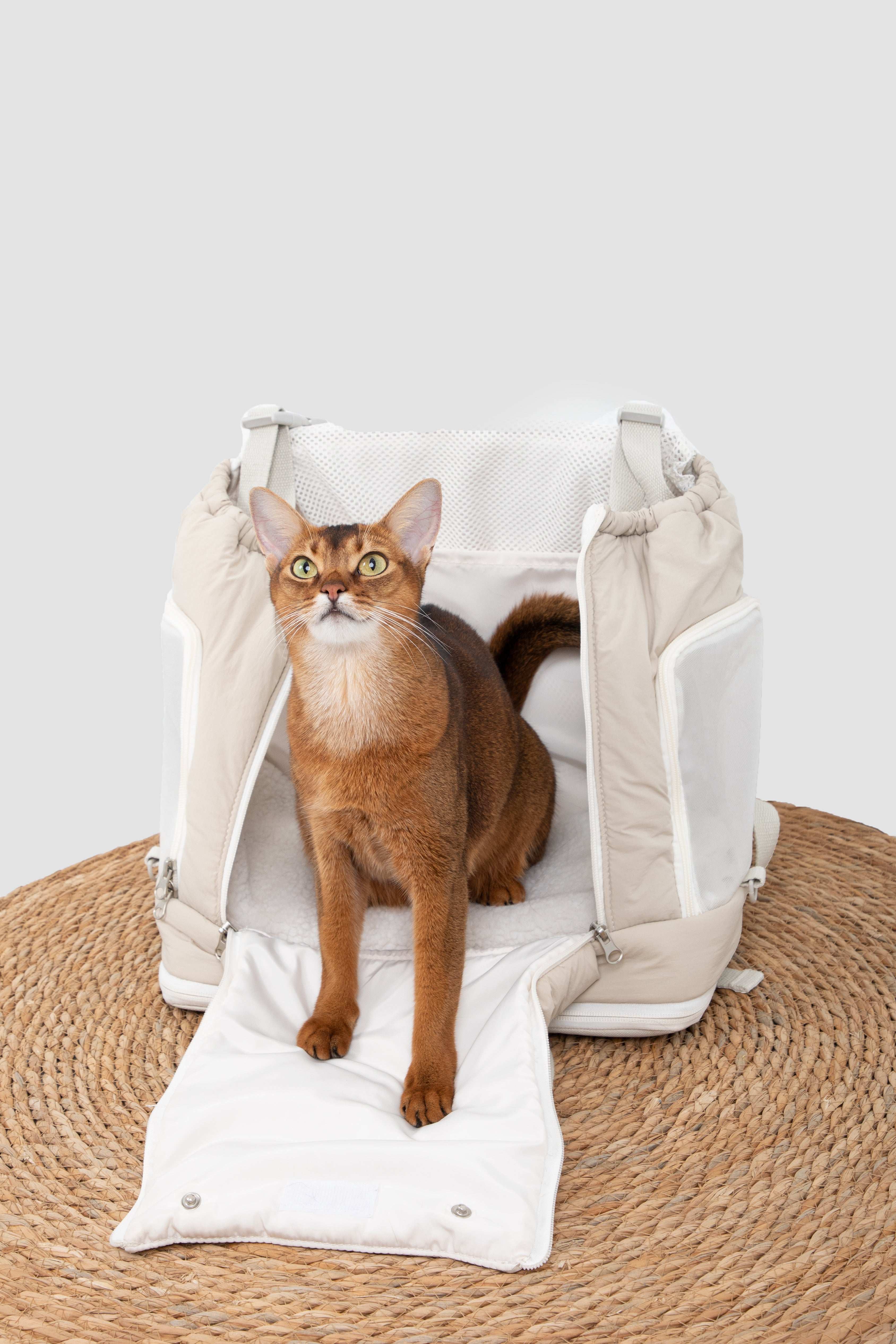 (NEW) Puha Series Front carry Pet Carrier - HiDream