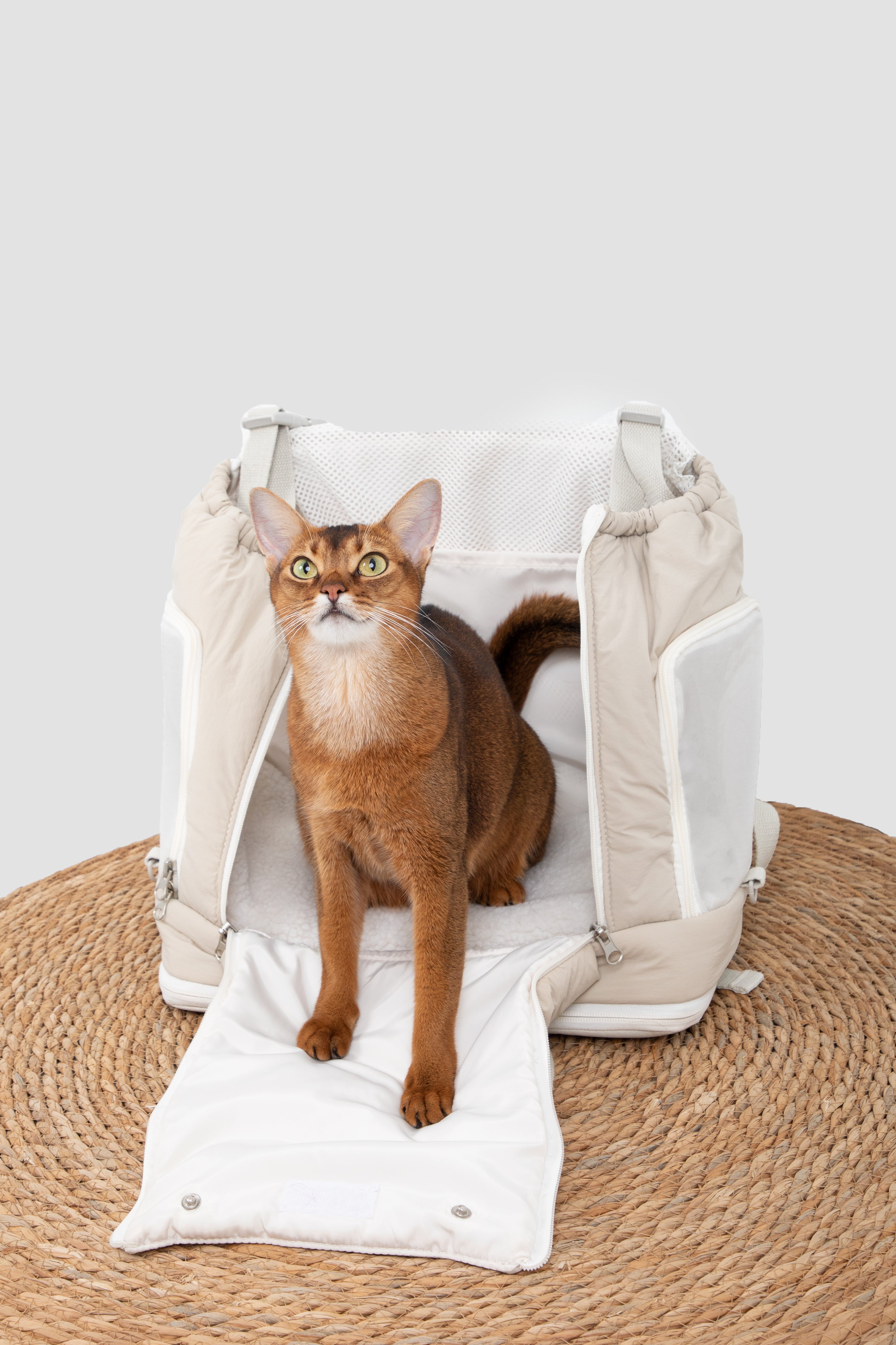 (NEW) Puha Series Front carry Pet Carrier - HiDream