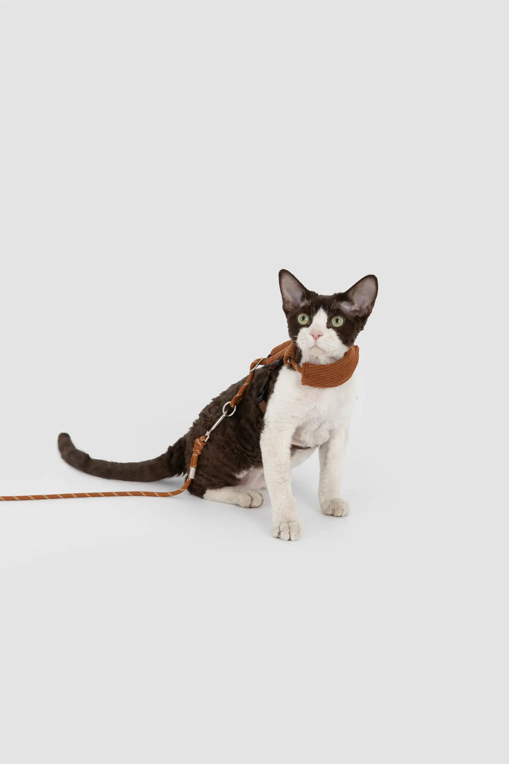 Corduroy Cat Harness & Leash Set – Escape-Proof, Hands-Free Walking