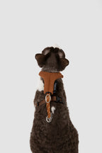 Corduroy Cat Harness & Leash Set – Escape-Proof, Hands-Free Walking