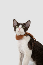 Corduroy Cat Harness & Leash Set – Escape-Proof, Hands-Free Walking
