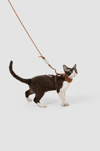 Corduroy Cat Harness & Leash Set – Escape-Proof, Hands-Free Walking