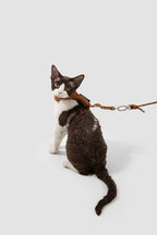 Corduroy Cat Harness & Leash Set – Escape-Proof, Hands-Free Walking