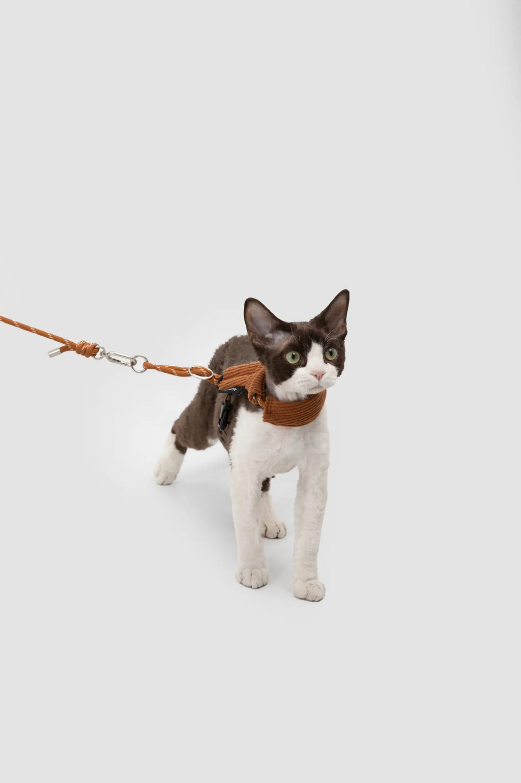 Corduroy Cat Harness & Leash Set – Escape-Proof, Hands-Free Walking