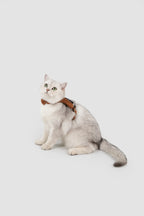 Corduroy Cat Harness & Leash Set – Escape-Proof, Hands-Free Walking