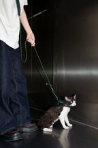 Corduroy Cat Harness & Leash Set – Escape-Proof, Hands-Free Walking