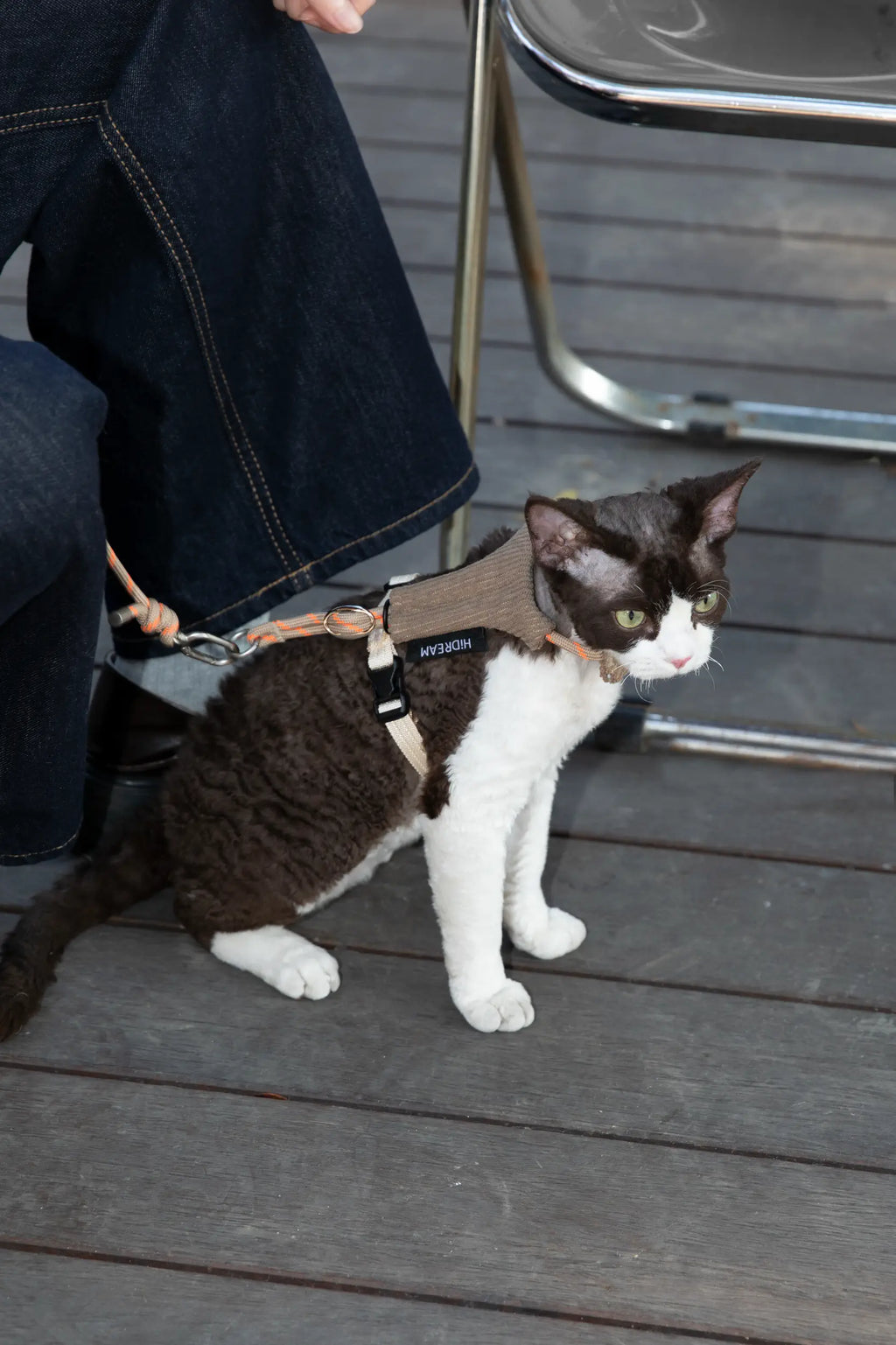 Corduroy Cat Harness & Leash Set – Escape-Proof, Hands-Free Walking