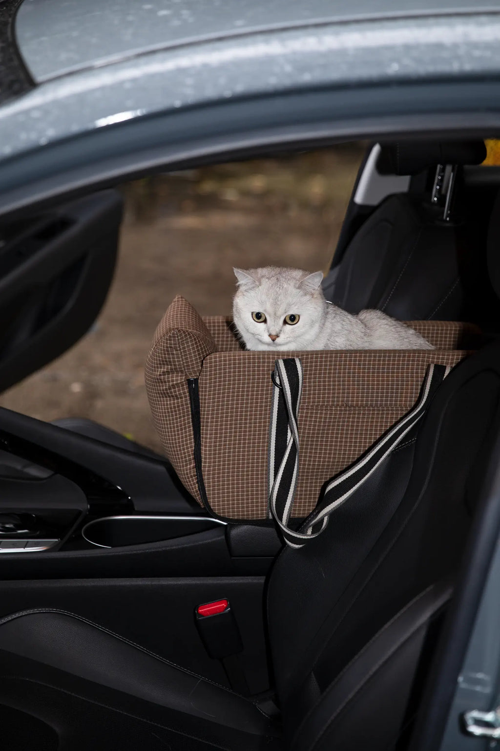 Console Pet Carrier – 2-in-1 Car Booster Seat & Travel Tote - HiDREAM Australia