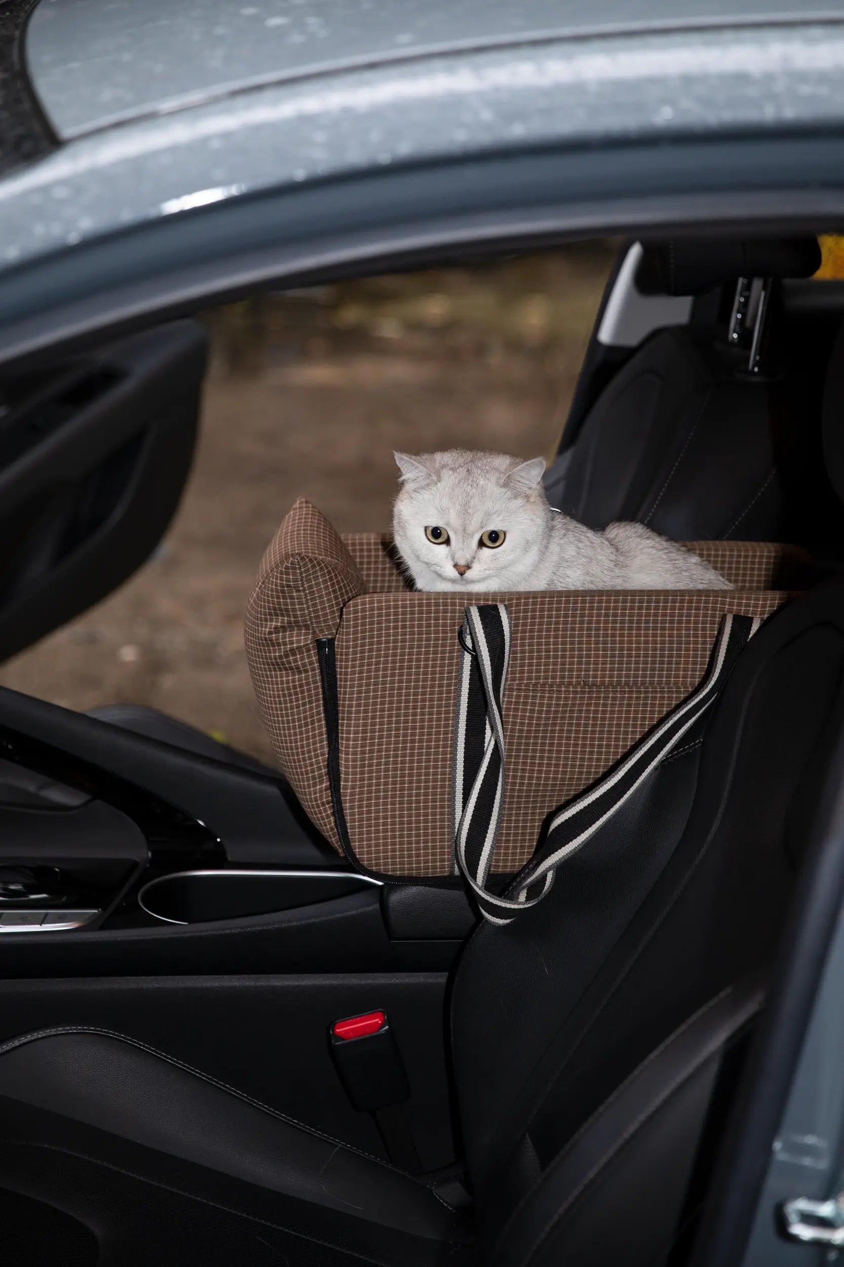 Console Pet Carrier – 2-in-1 Car Booster Seat & Travel Tote - HiDREAM Australia