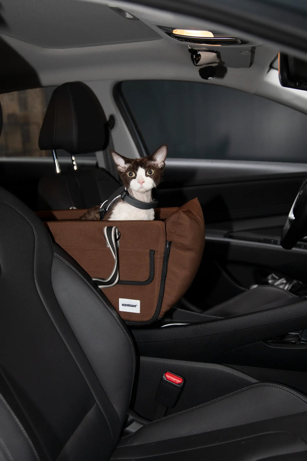 Console Pet Carrier – 2-in-1 Car Booster Seat & Travel Tote - HiDREAM Australia