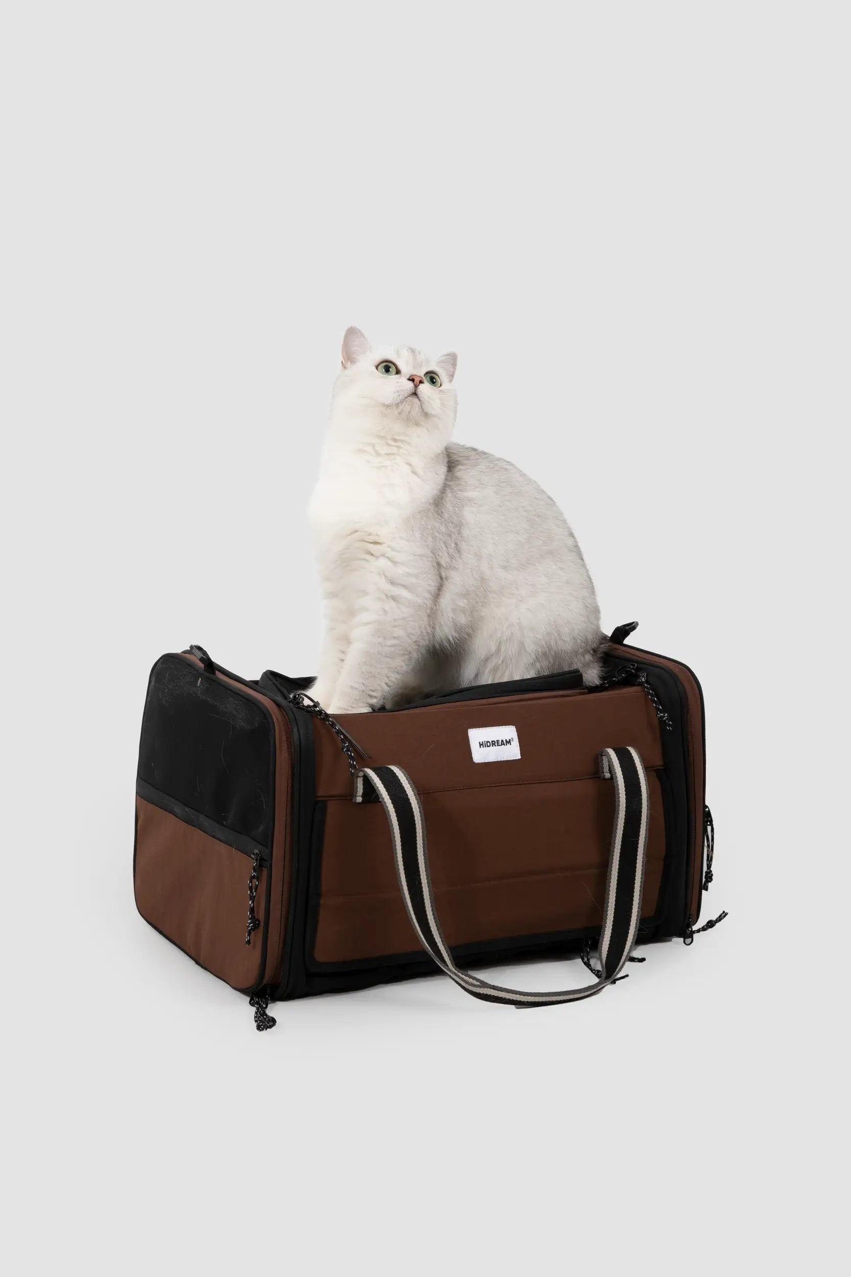 Expandable Cat Carrier for 2 Cats – Airline Approved Under-Seat Travel Bag