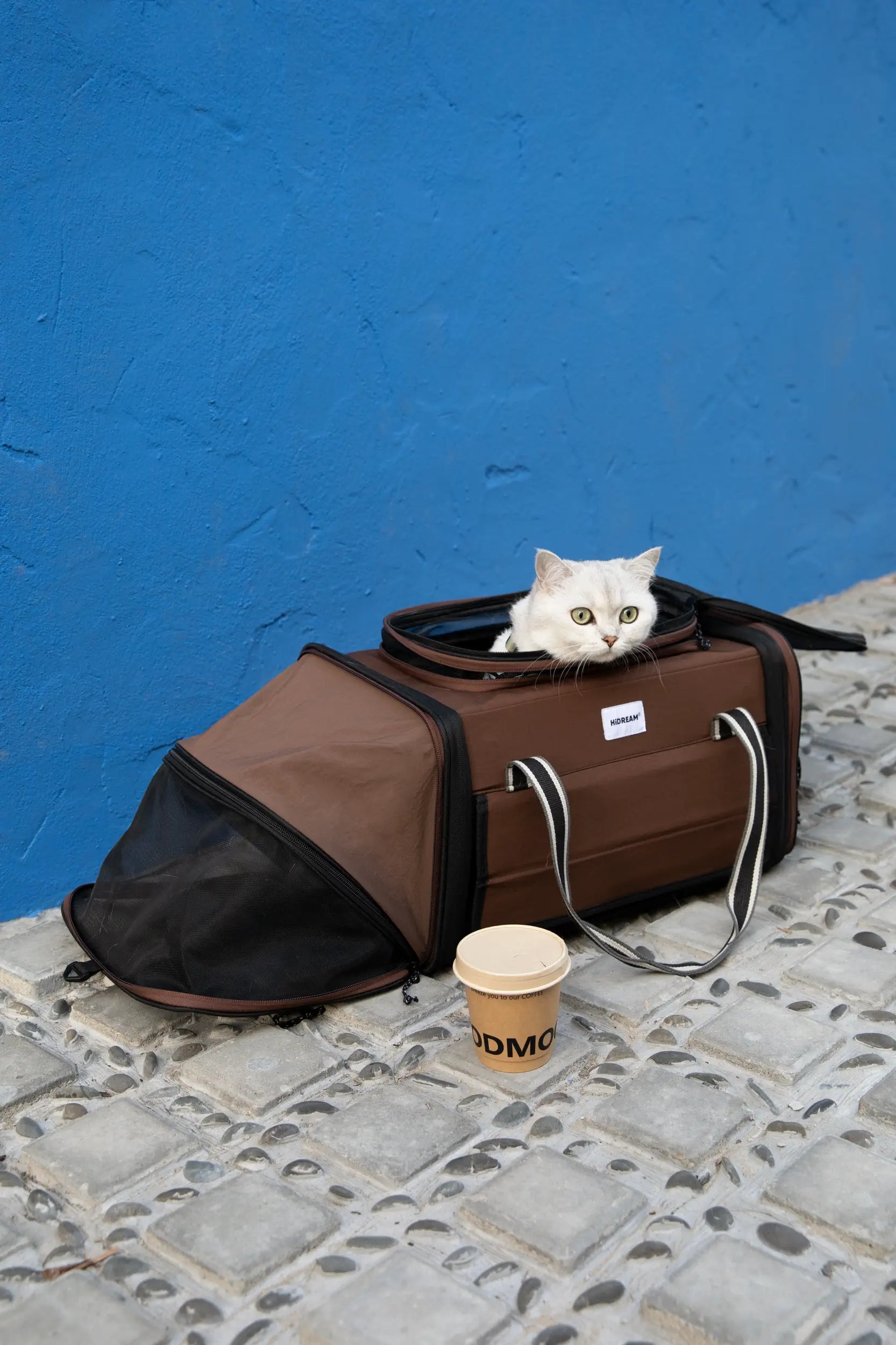 Expandable Cat Carrier for 2 Cats – Airline Approved Under-Seat Travel Bag