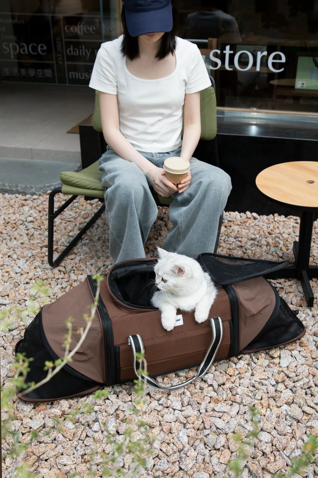 Expandable Cat Carrier for 2 Cats – Airline Approved Under-Seat Travel Bag