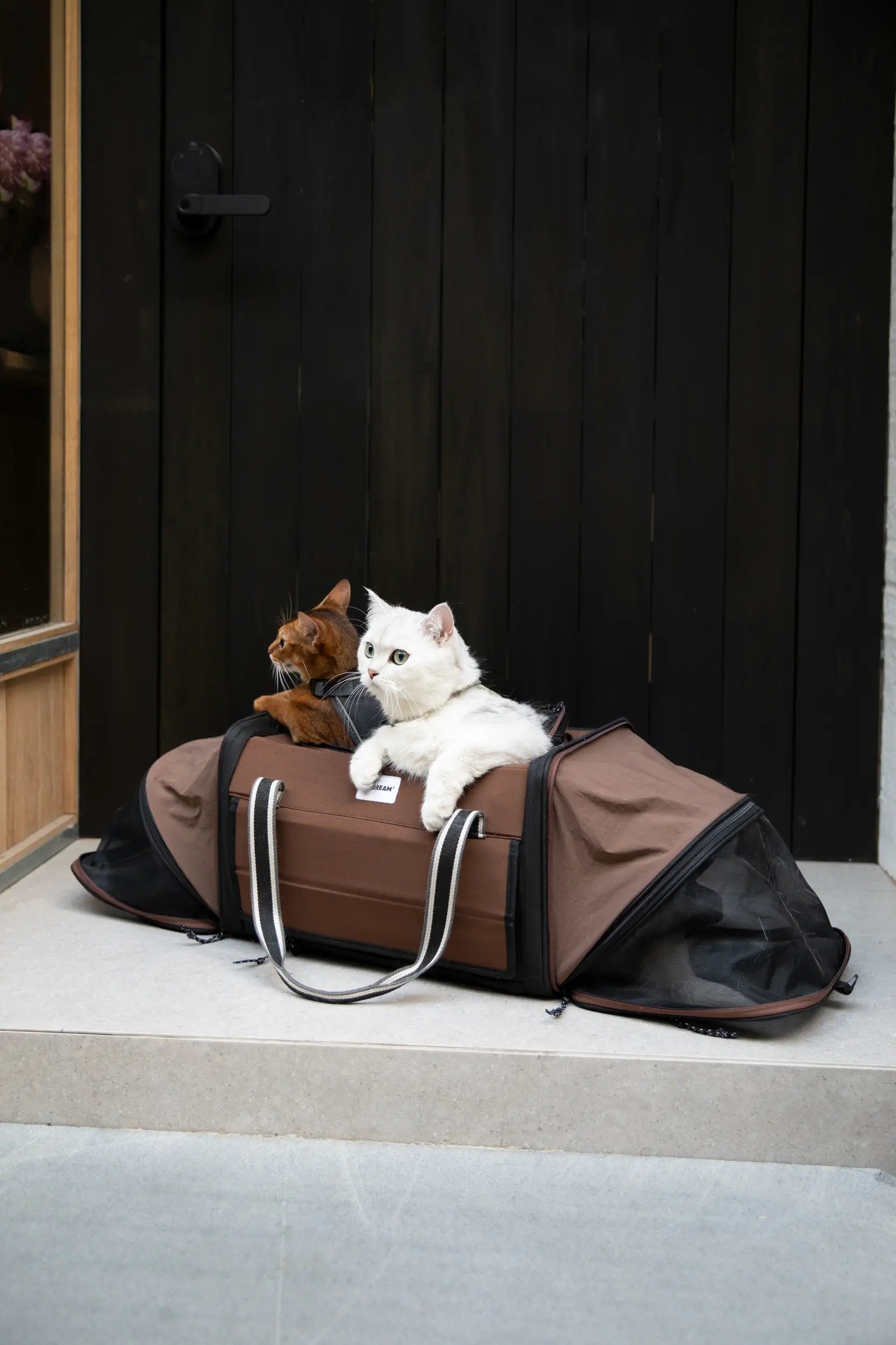 Expandable Cat Carrier for 2 Cats – Airline Approved Under-Seat Travel Bag