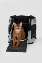 Cat exiting gray HiDREAM Mountain Series Chest Pet Tote through front opening, showing spacious and pet-friendly interior.