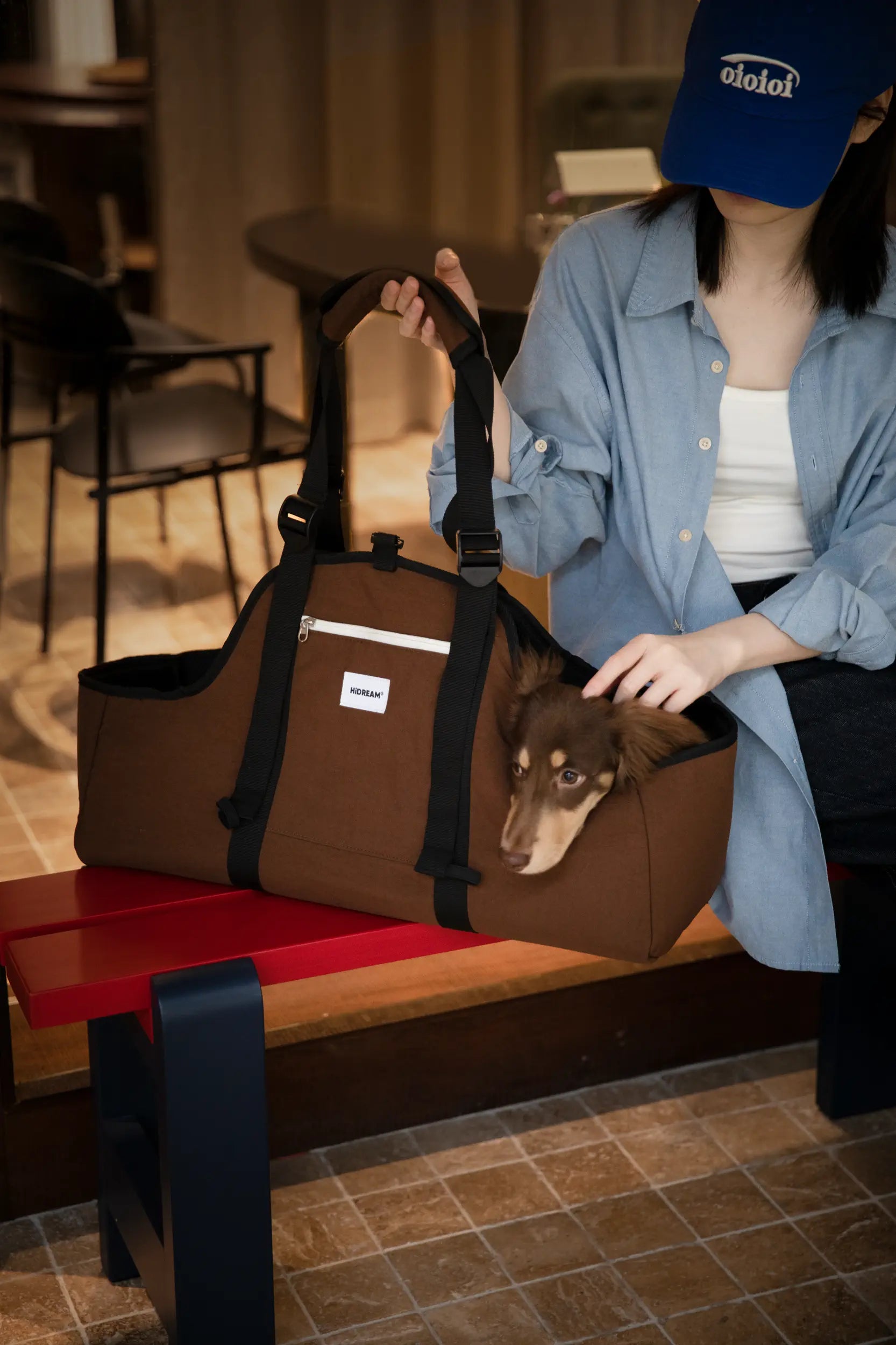 Open-Top Dachshund Carrier Tote – Shoulder, Crossbody & Hand Carry