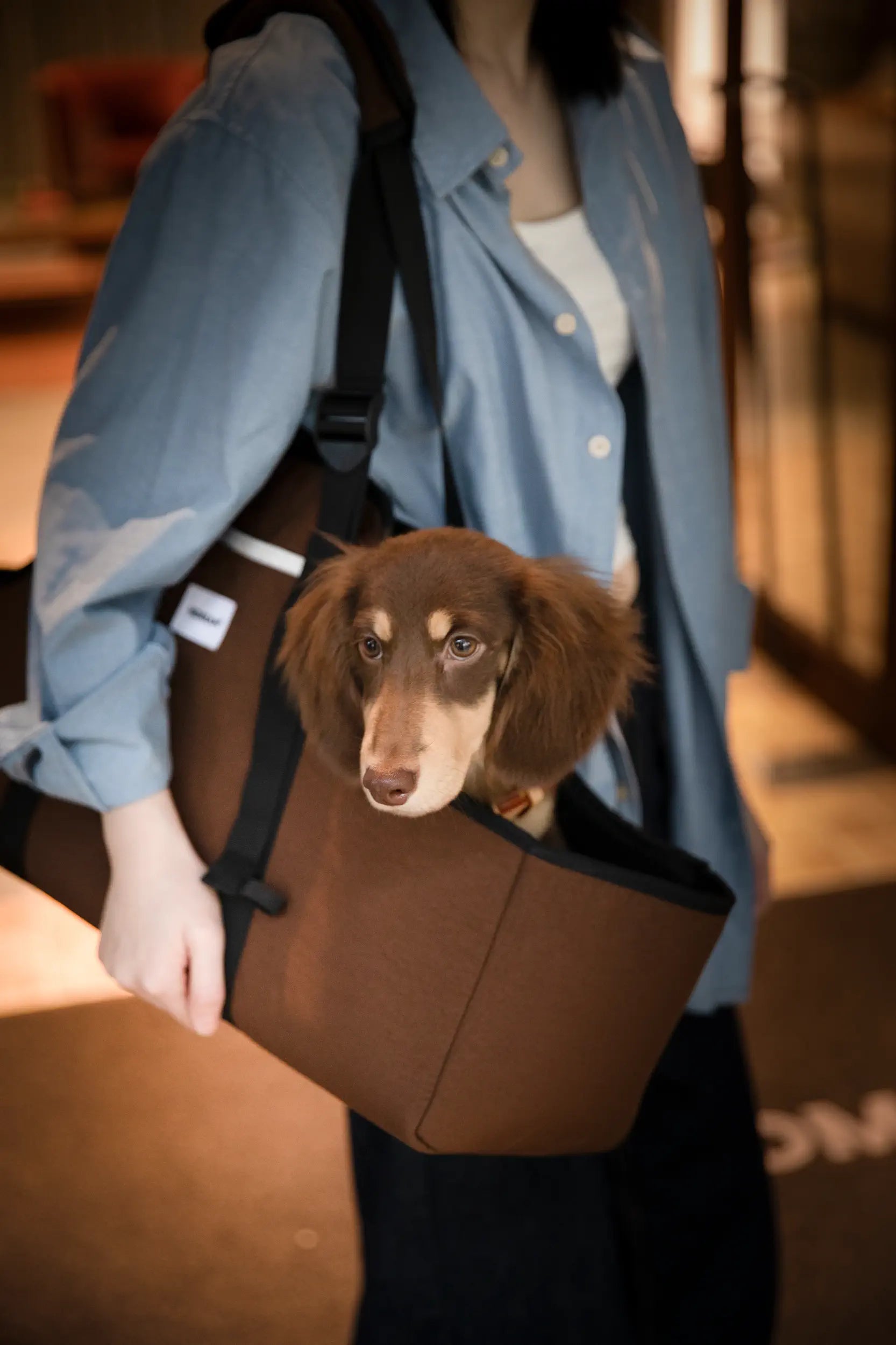 Open-Top Dachshund Carrier Tote – Shoulder, Crossbody & Hand Carry