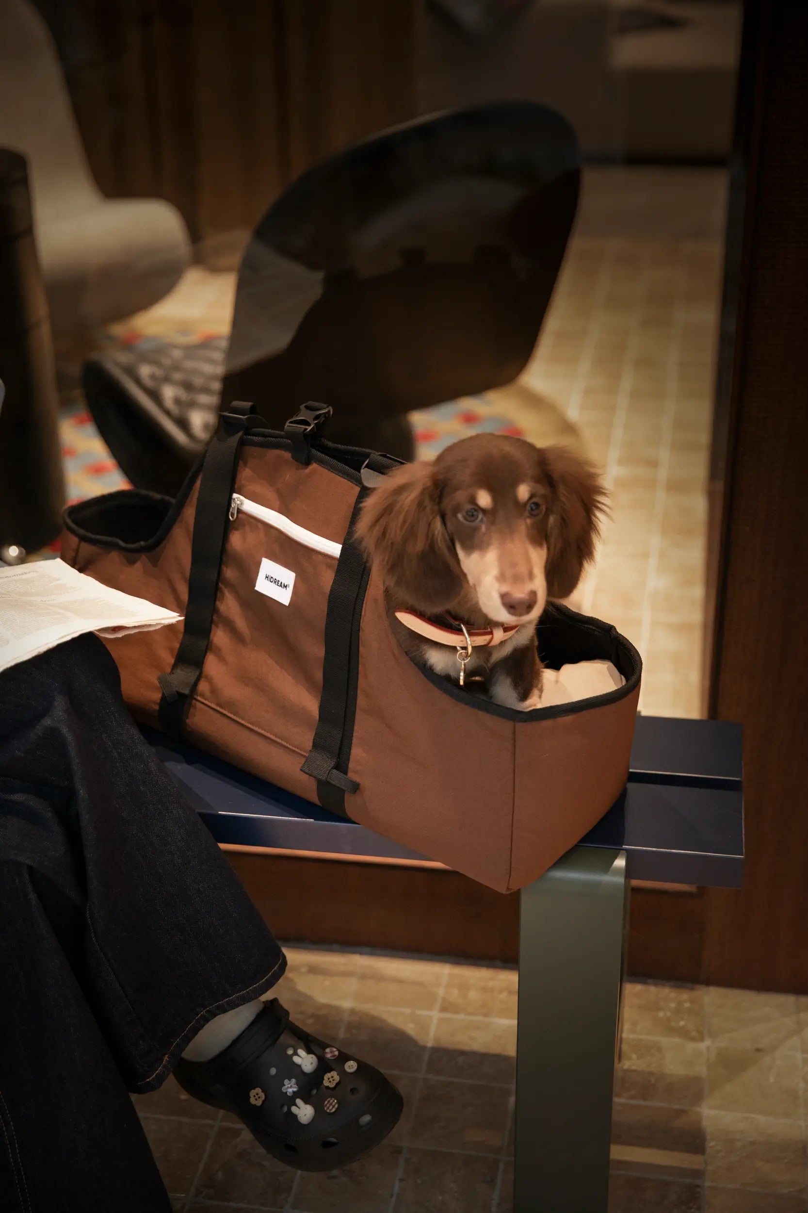 Open-Top Dachshund Carrier Tote – Shoulder, Crossbody & Hand Carry