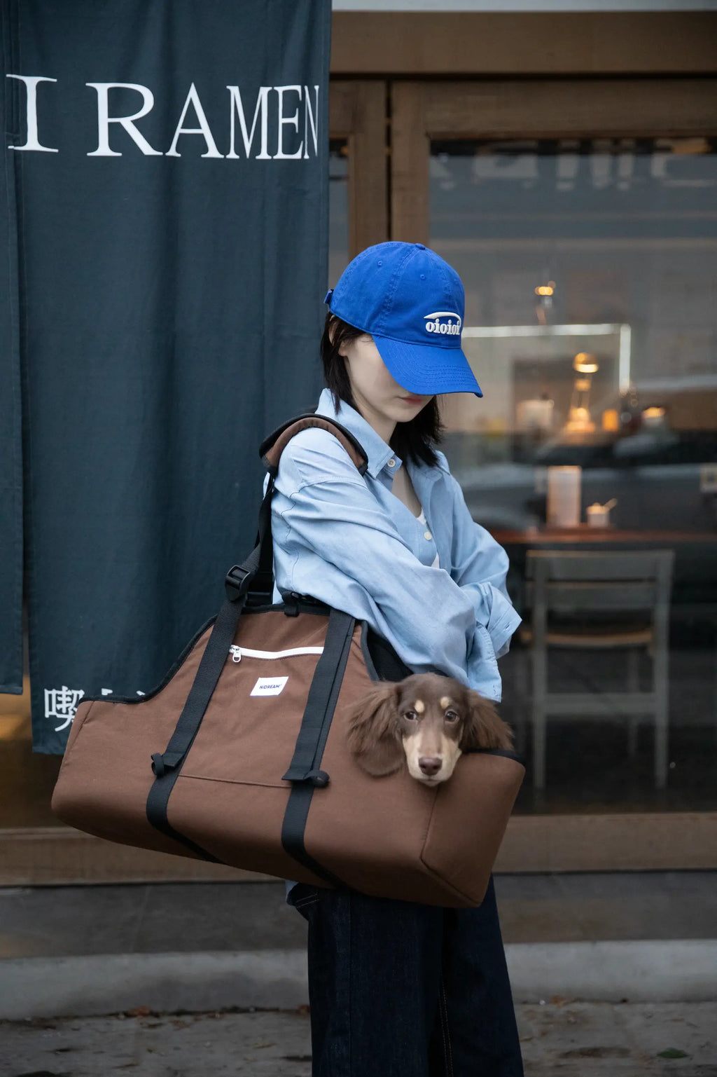 Open-Top Dachshund Carrier Tote – Shoulder, Crossbody & Hand Carry