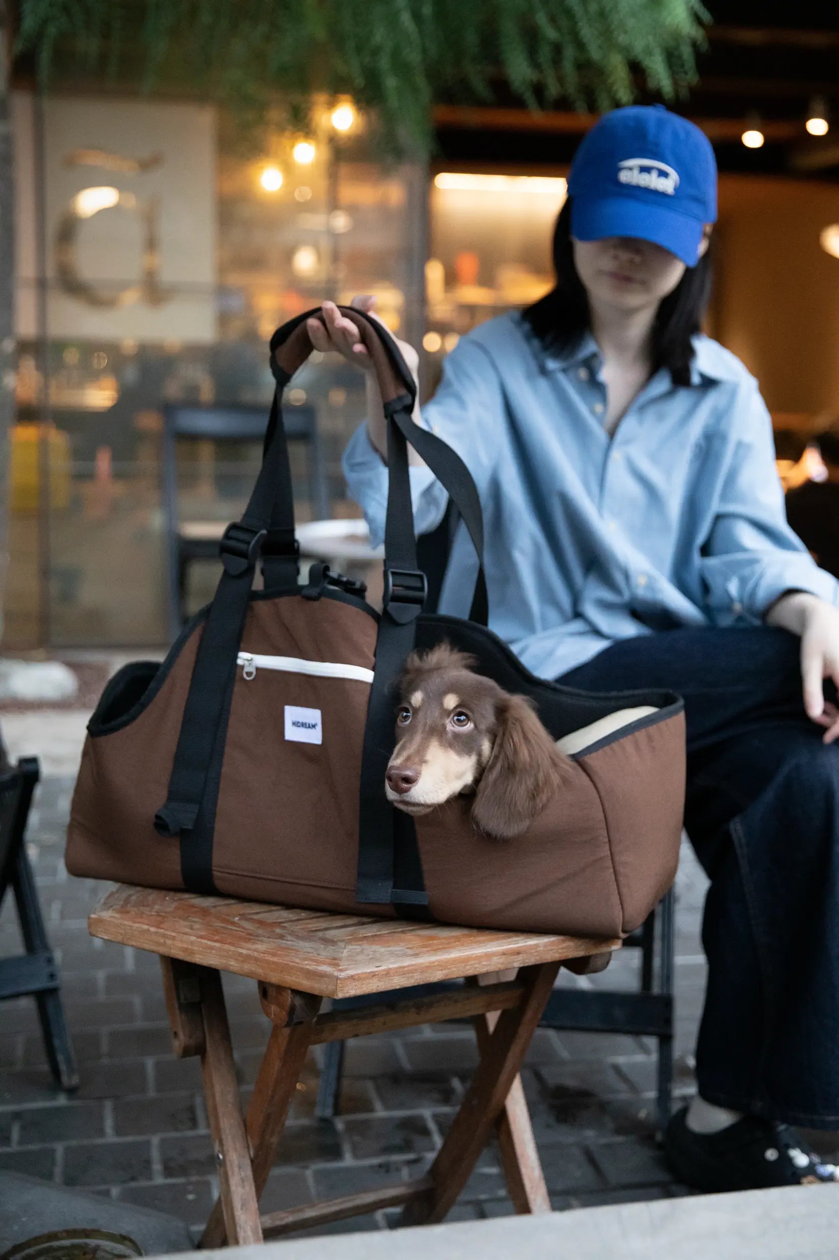 Open-Top Dachshund Carrier Tote – Shoulder, Crossbody & Hand Carry