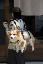 Spine-Friendly Dog Carrier Backpack – Horizontal, Legs-Out Design