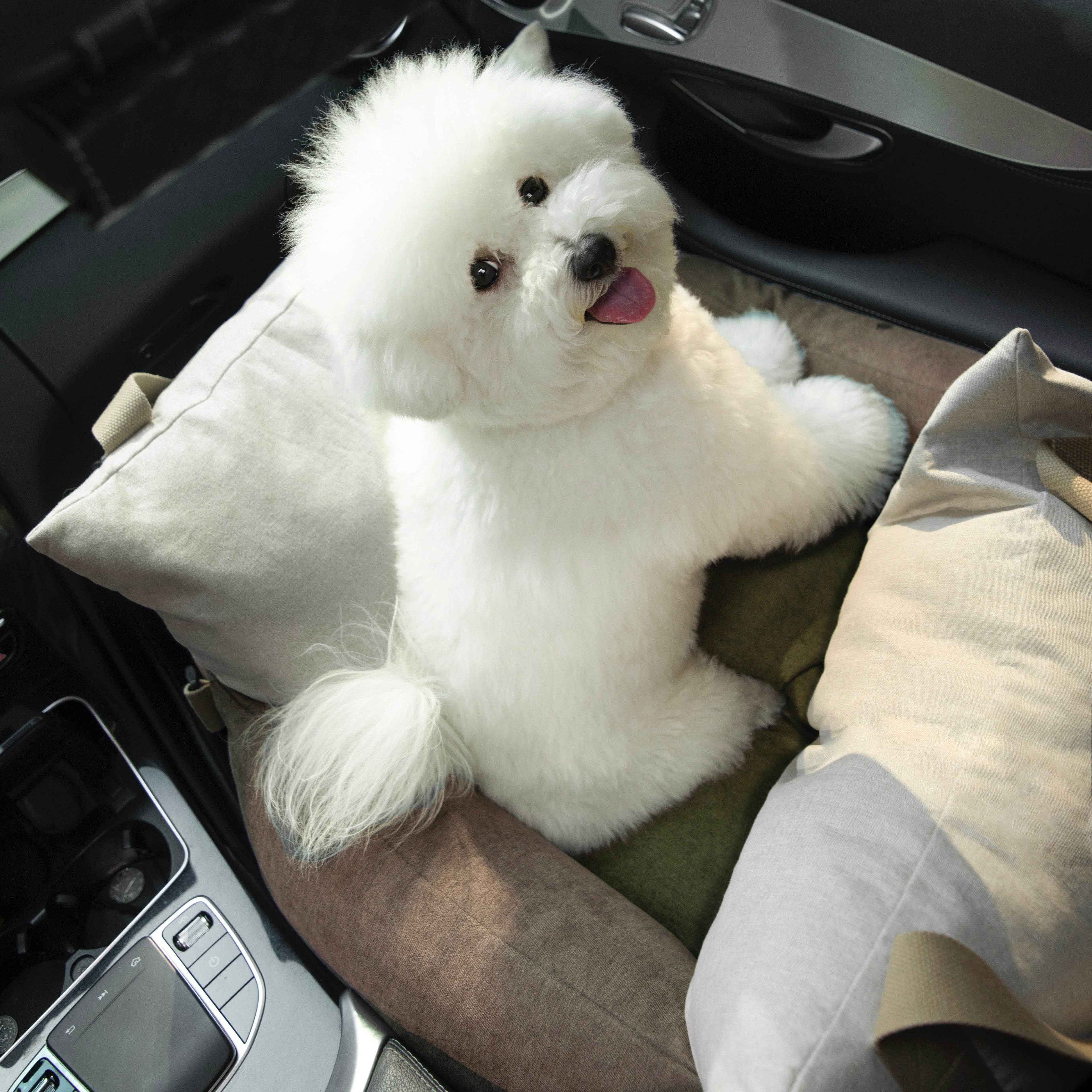 HiDREAM Dog & Cat Car Safety Seat with fluffy dog sitting upright. Secure and cozy pet bed for car journeys.