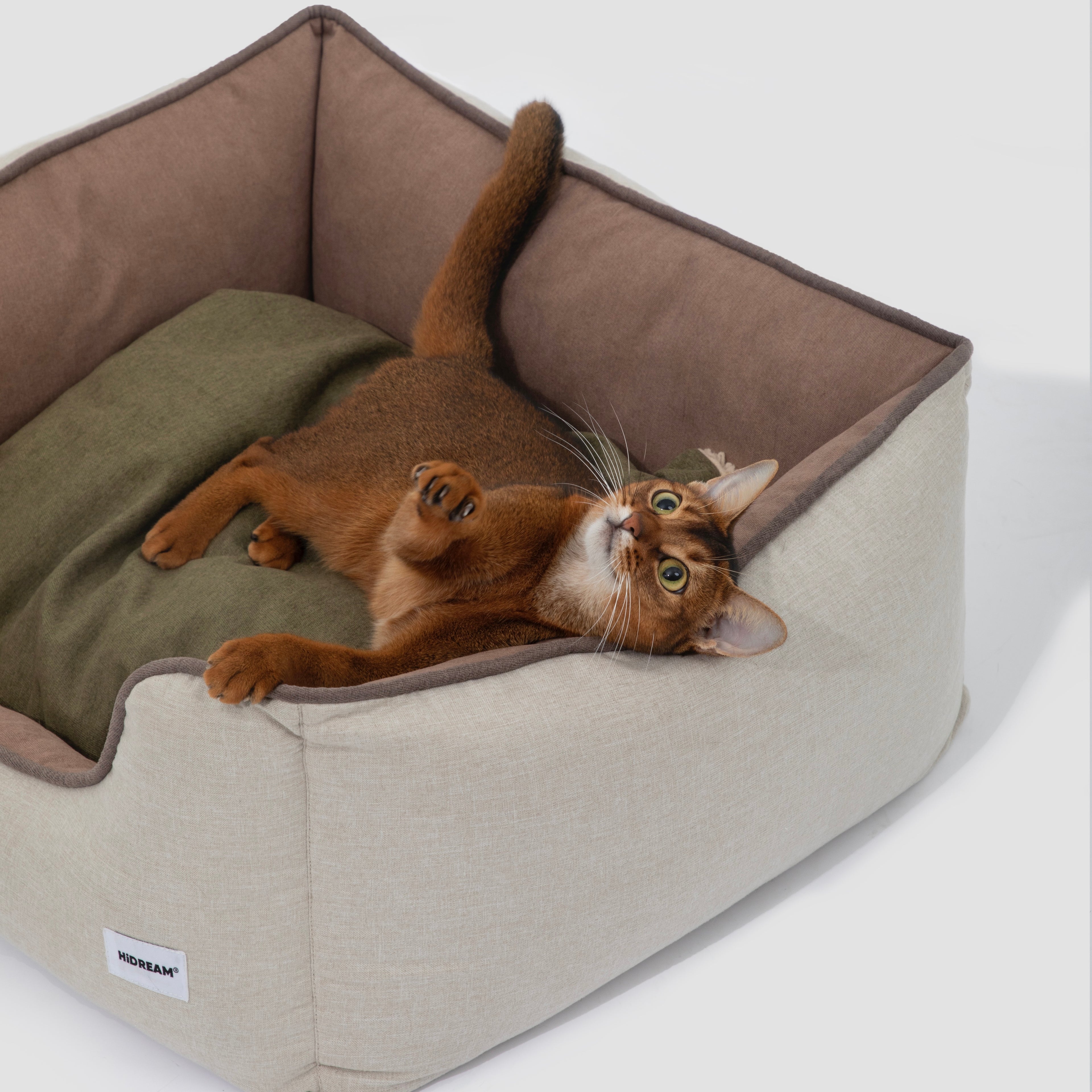 HiDREAM Four-Season Pet Bed shown with playful cat lying on reversible green cushion. Cozy, washable nest for cats and small dogs.