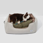 HiDREAM Four-Season Pet Bed with brown and white dog cuddling green cushion. Soft, reversible and pet-friendly design for year-round use.