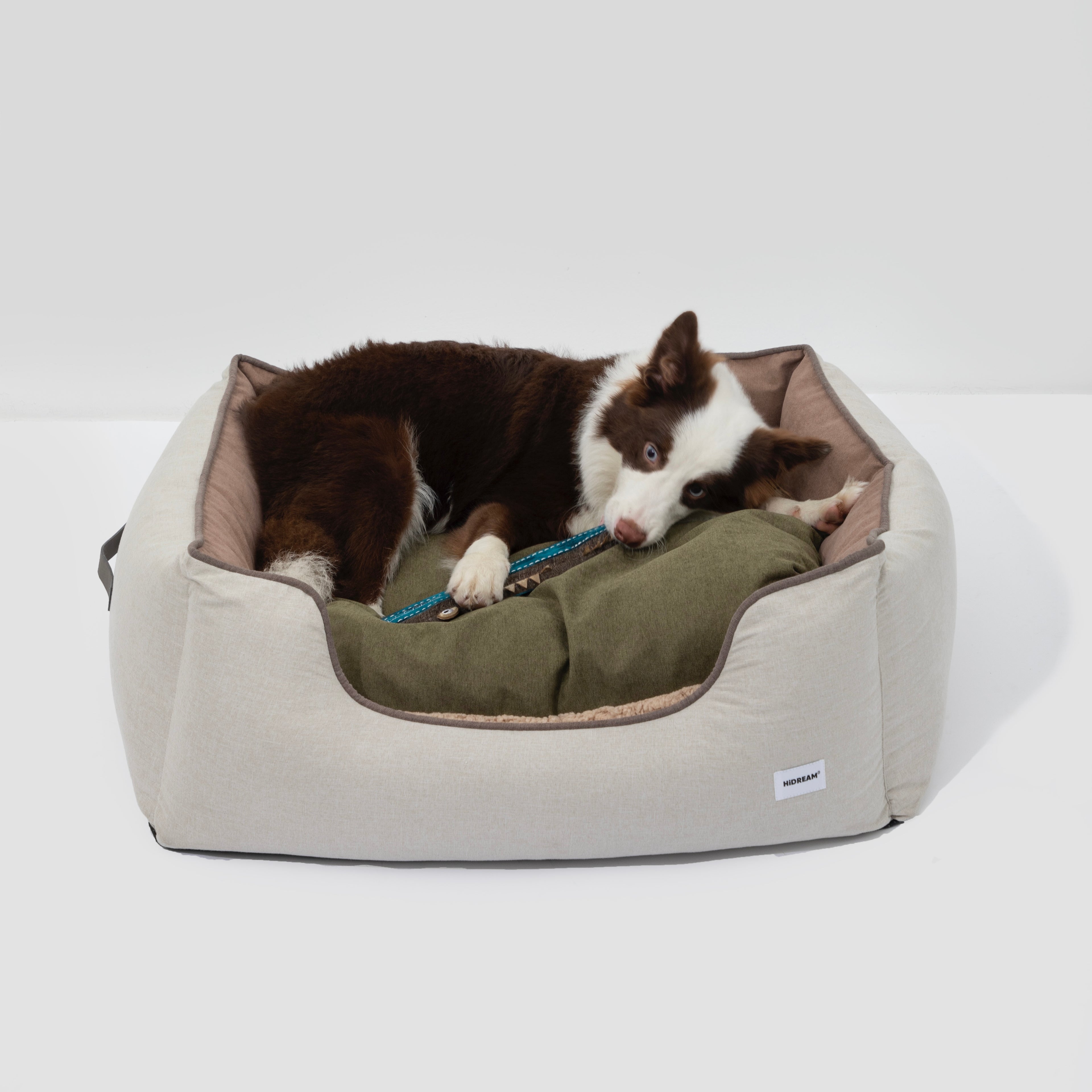 HiDREAM Four-Season Pet Bed with brown and white dog cuddling green cushion. Soft, reversible and pet-friendly design for year-round use.