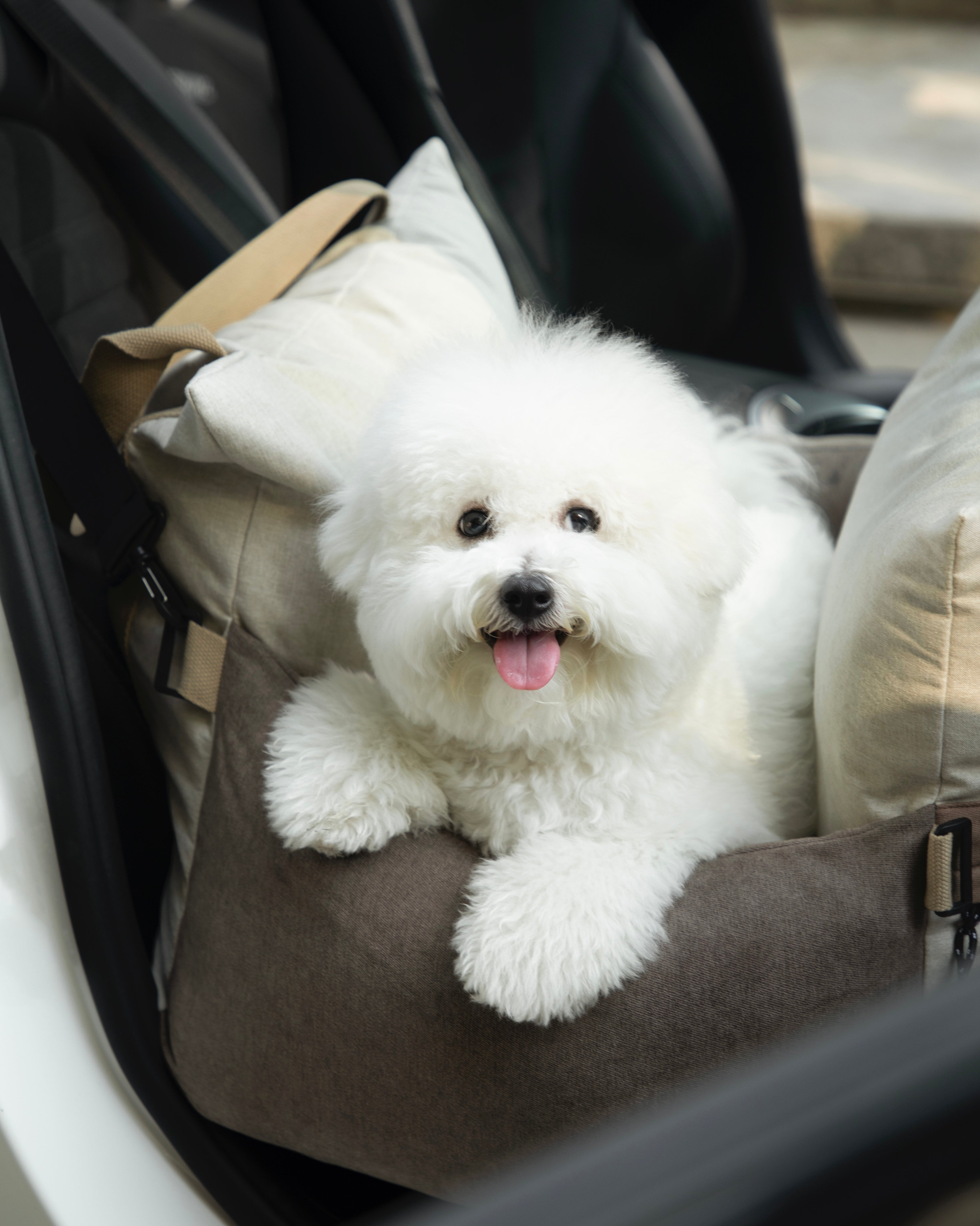HiDREAM Dog & Cat Car Safety Seat installed in car with happy white dog. Best comfy and secure pet bed for travel.