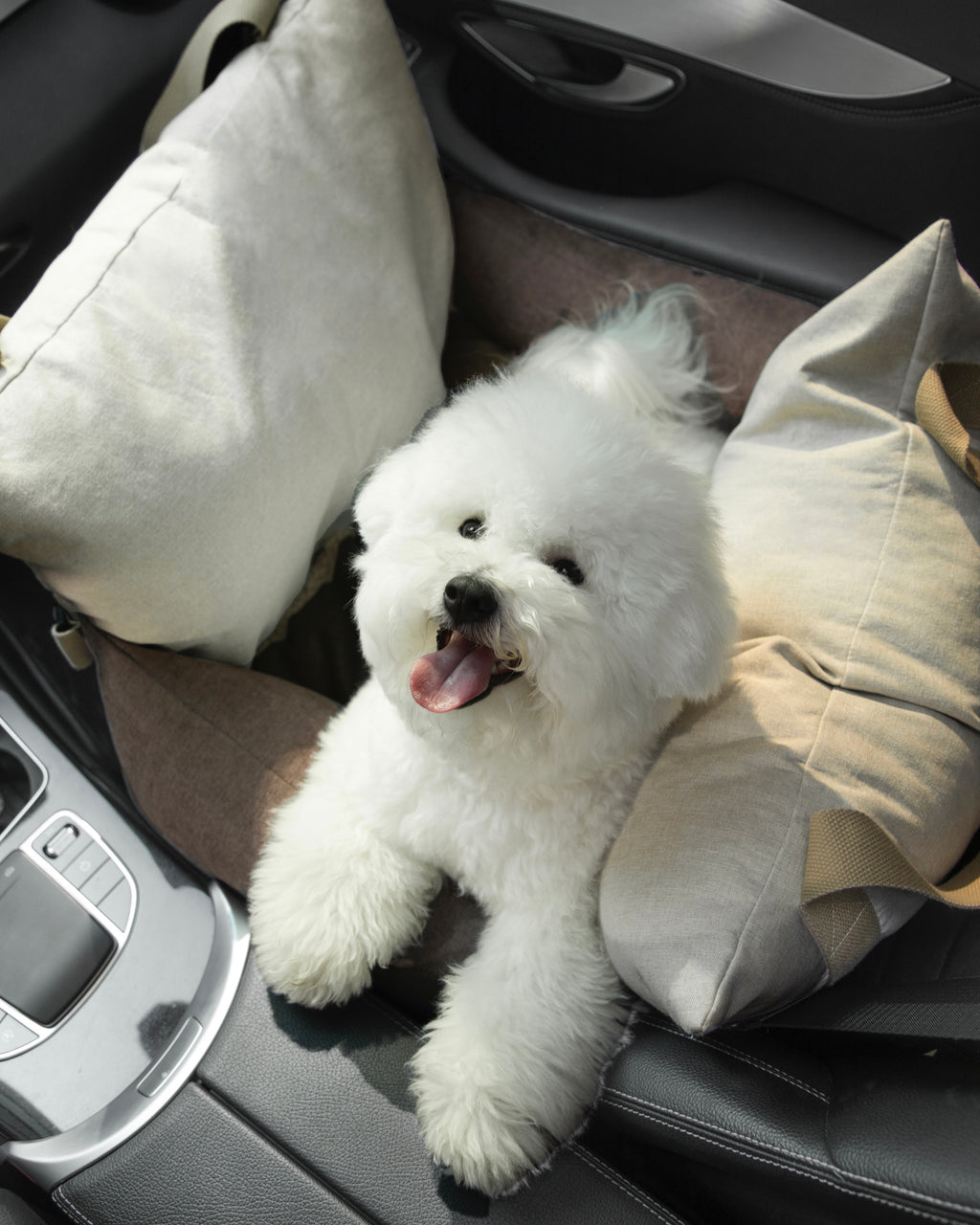 White dog sitting in HiDREAM Dog & Cat Car Safety Seat in car. Comfortable and safe pet bed for travel.