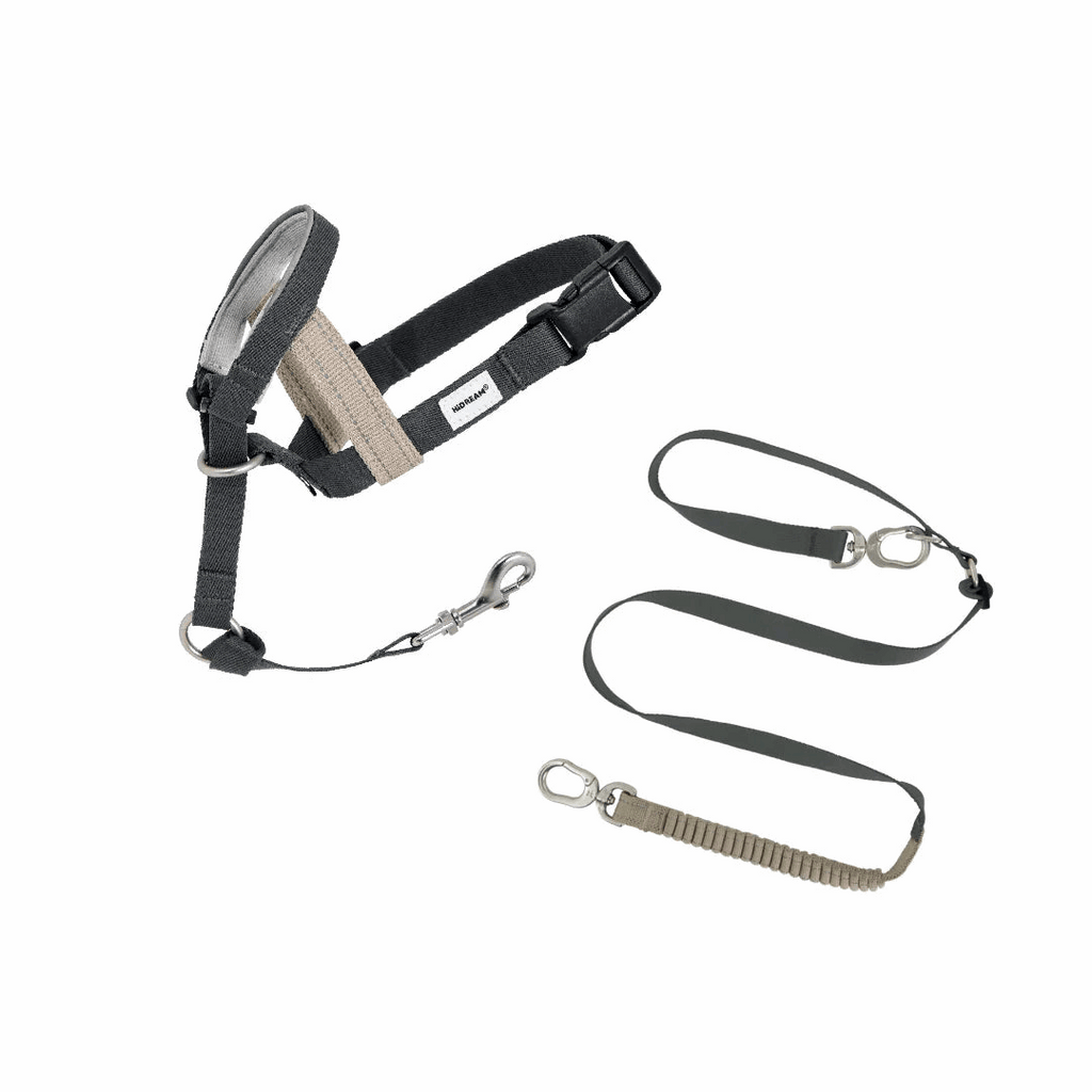 (NEW) Valley Dog Head Collar Bundle - HiDream