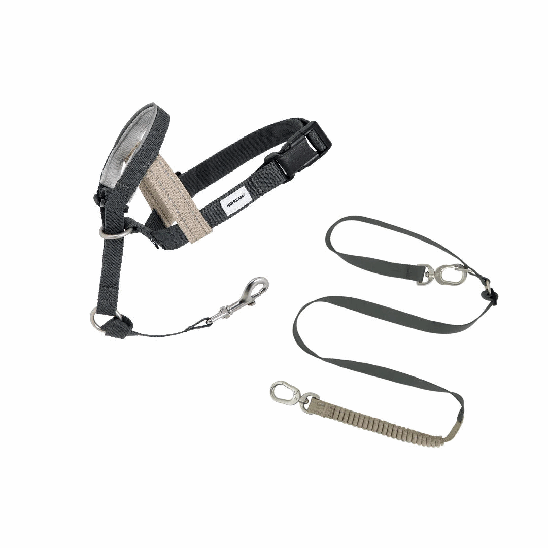 (NEW) Valley Dog Head Collar Bundle - HiDream